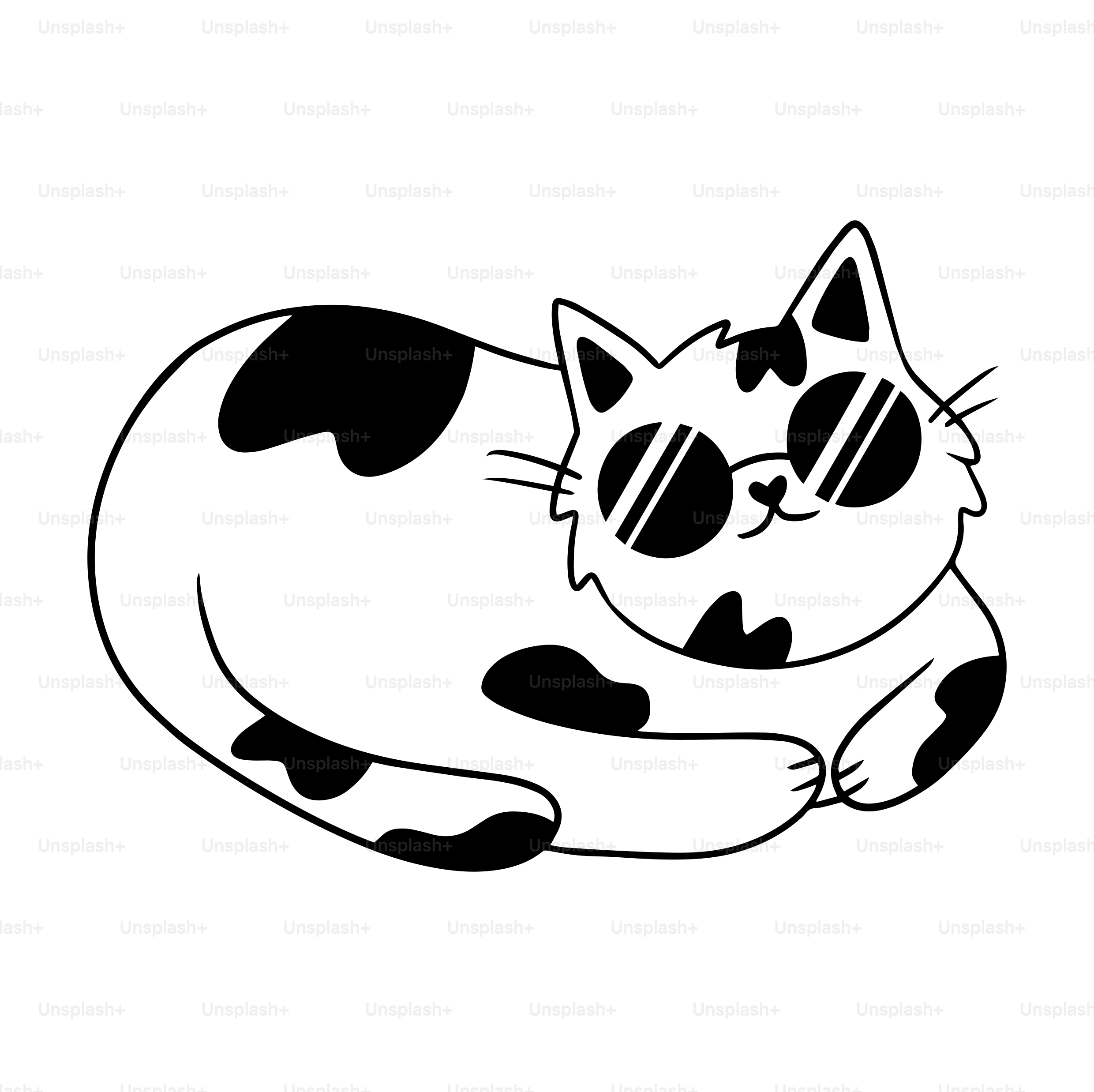 A black and white cat wearing sunglasses