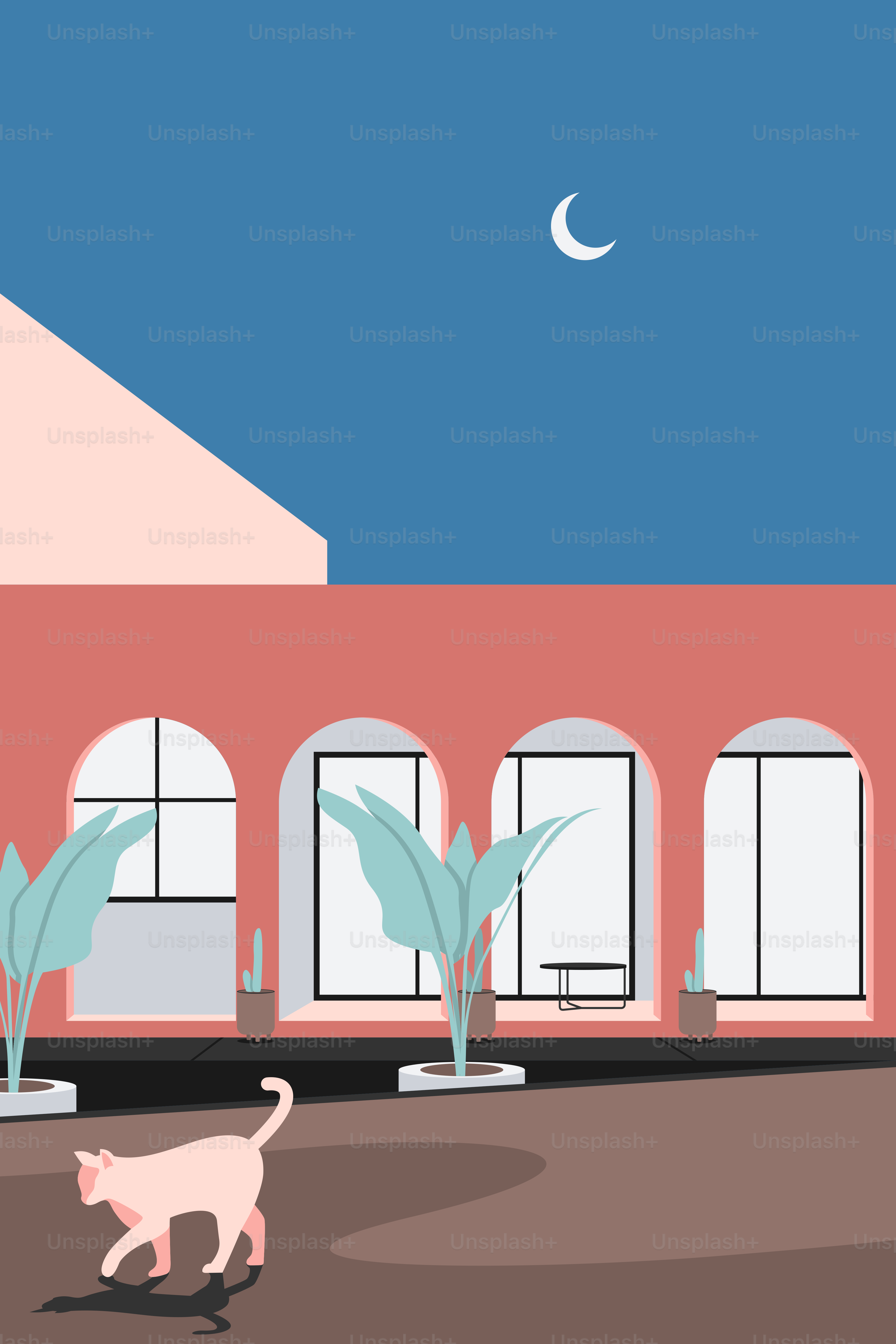 A cat walking in front of a building