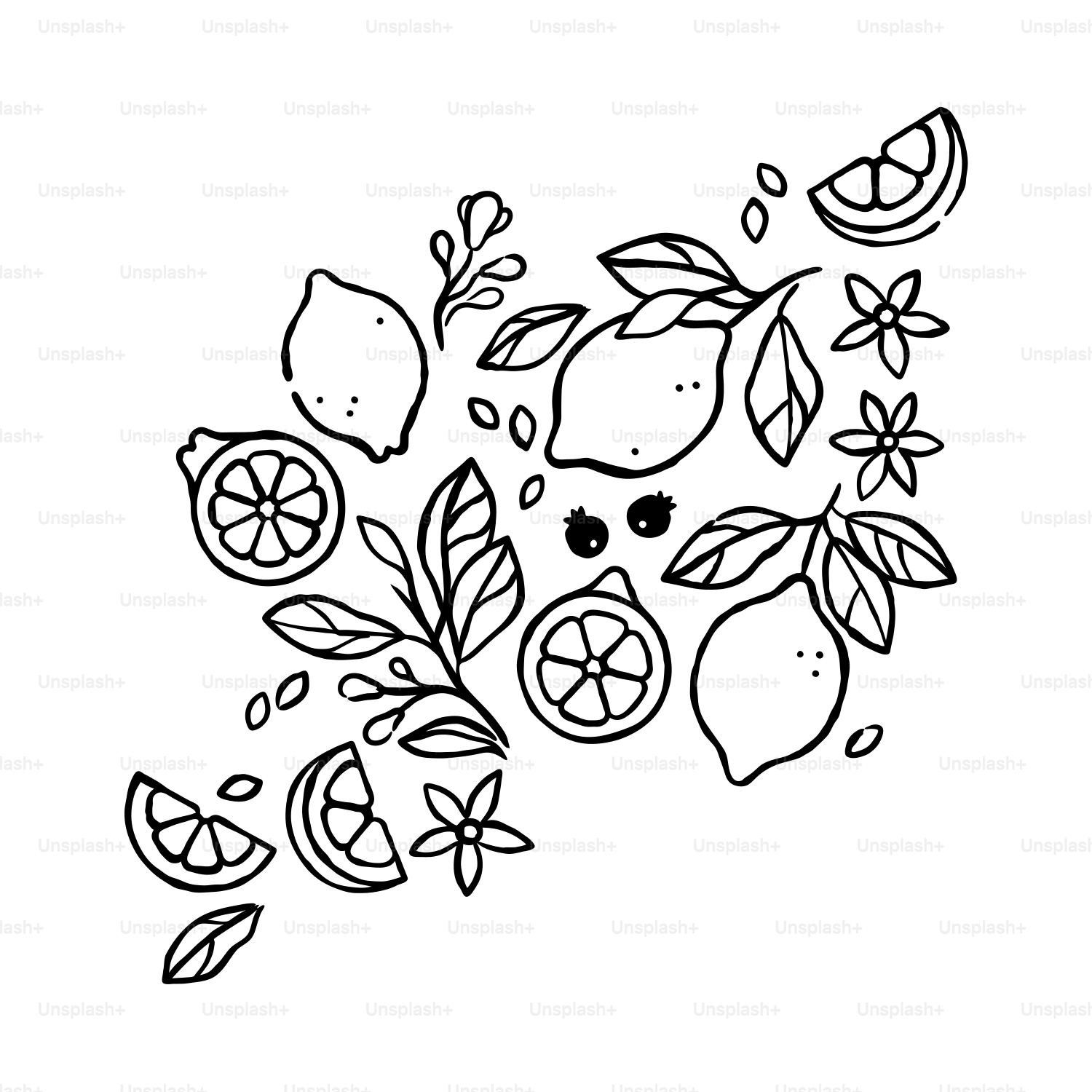 Un dibujo en blanco y negro de limones y hojas