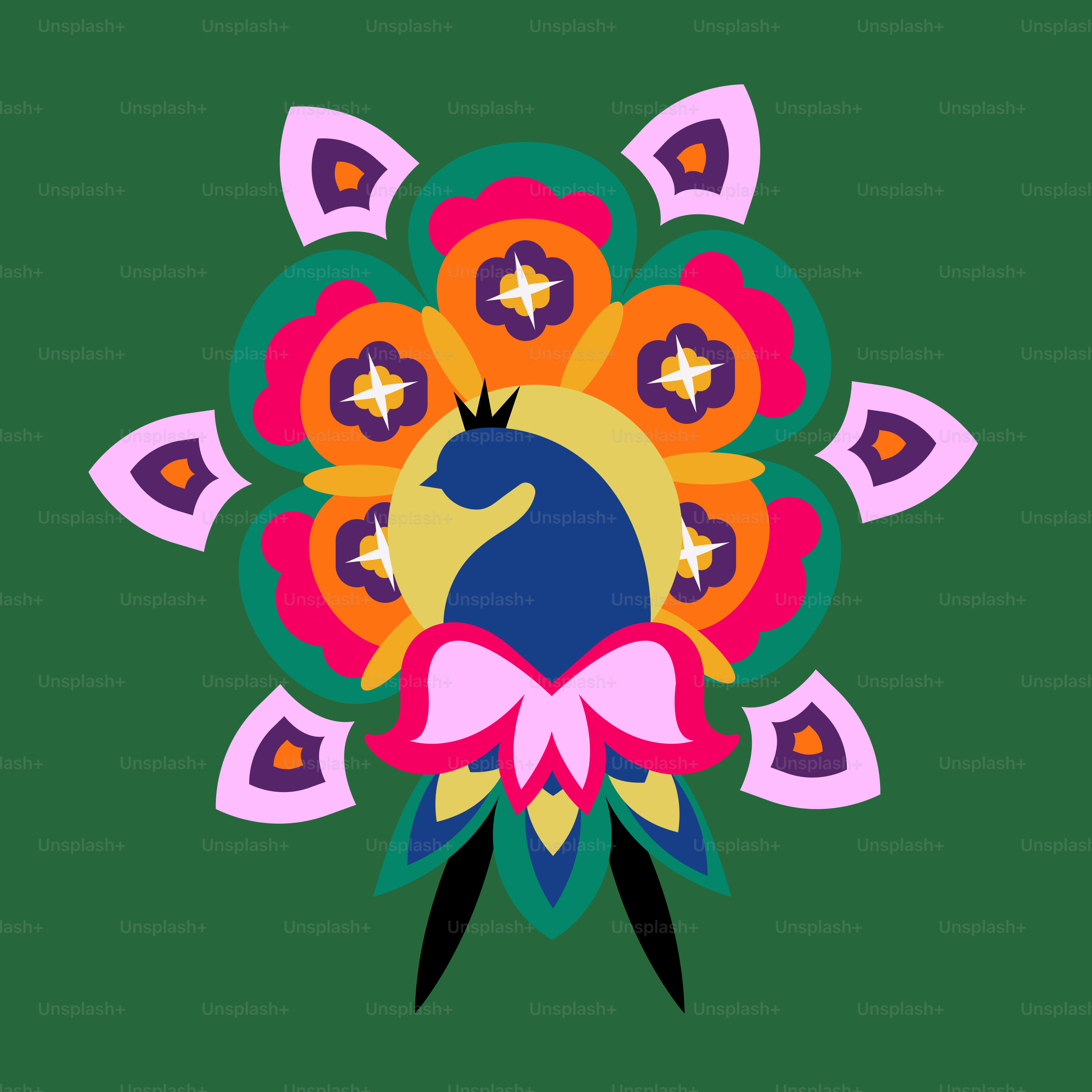 A picture of a peacock on a green background