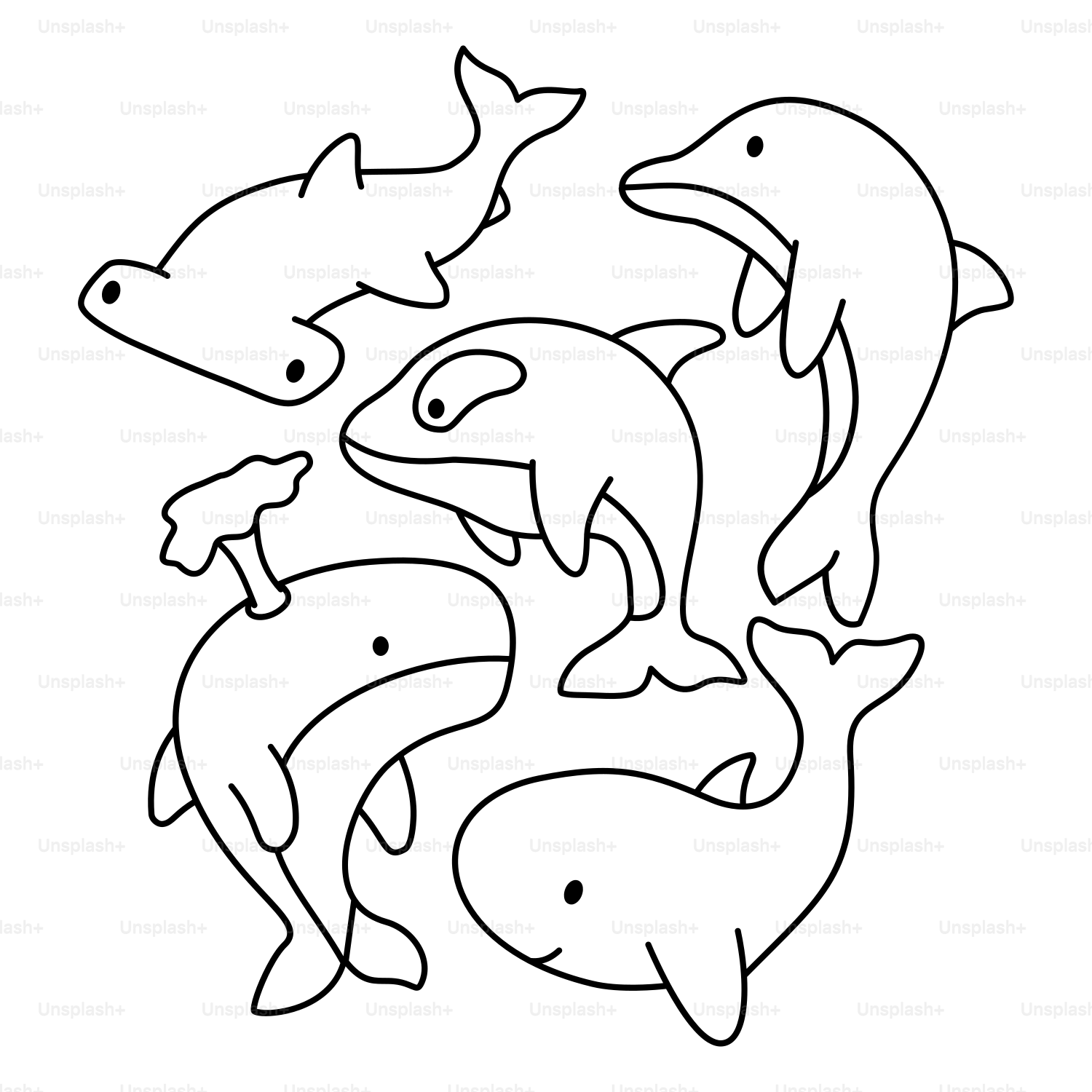 A group of dolphins swimming in the ocean