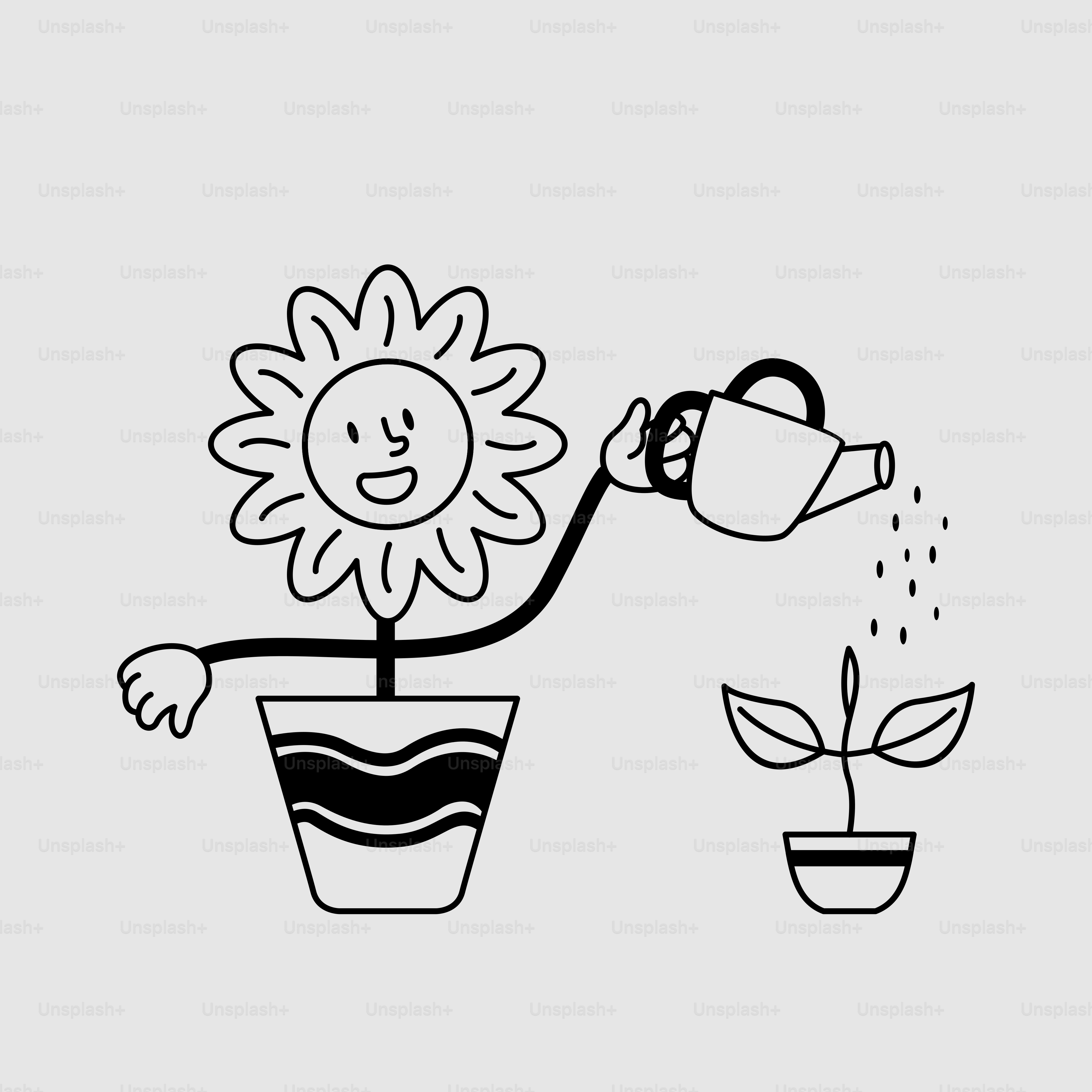 A black and white drawing of a sunflower watering from a watering can
