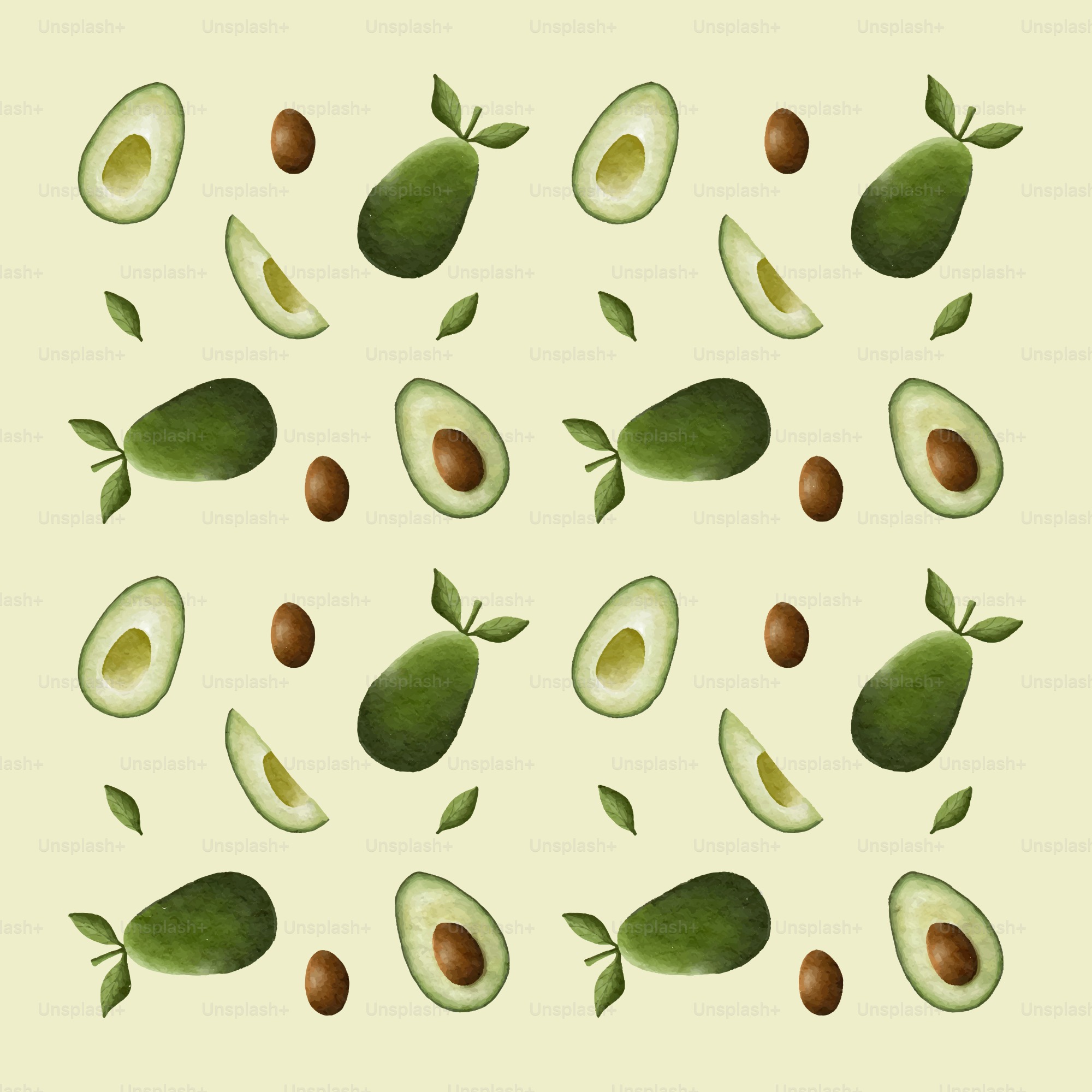 A picture of avocados and leaves on a white background