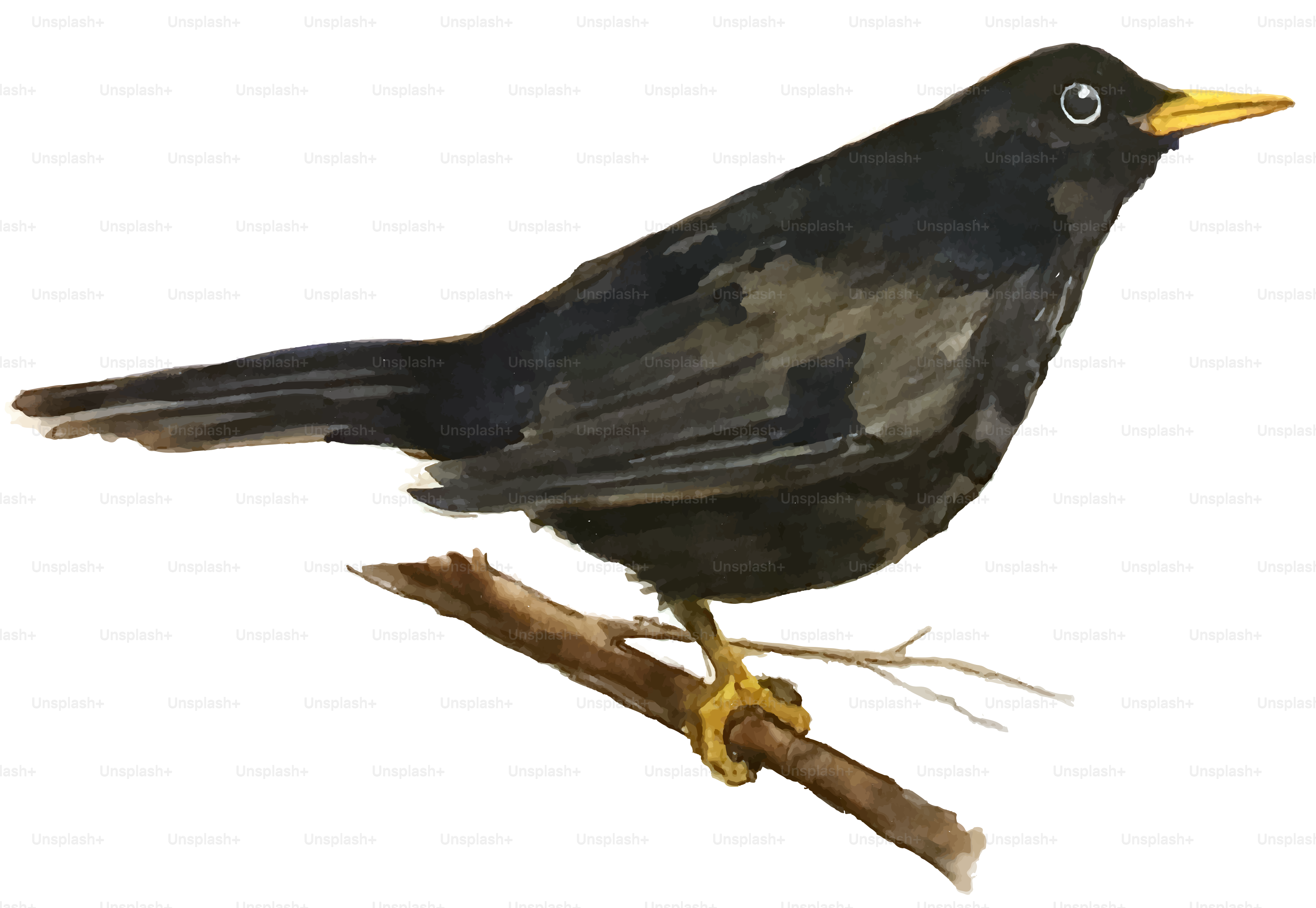 A black bird with a yellow beak sitting on a branch