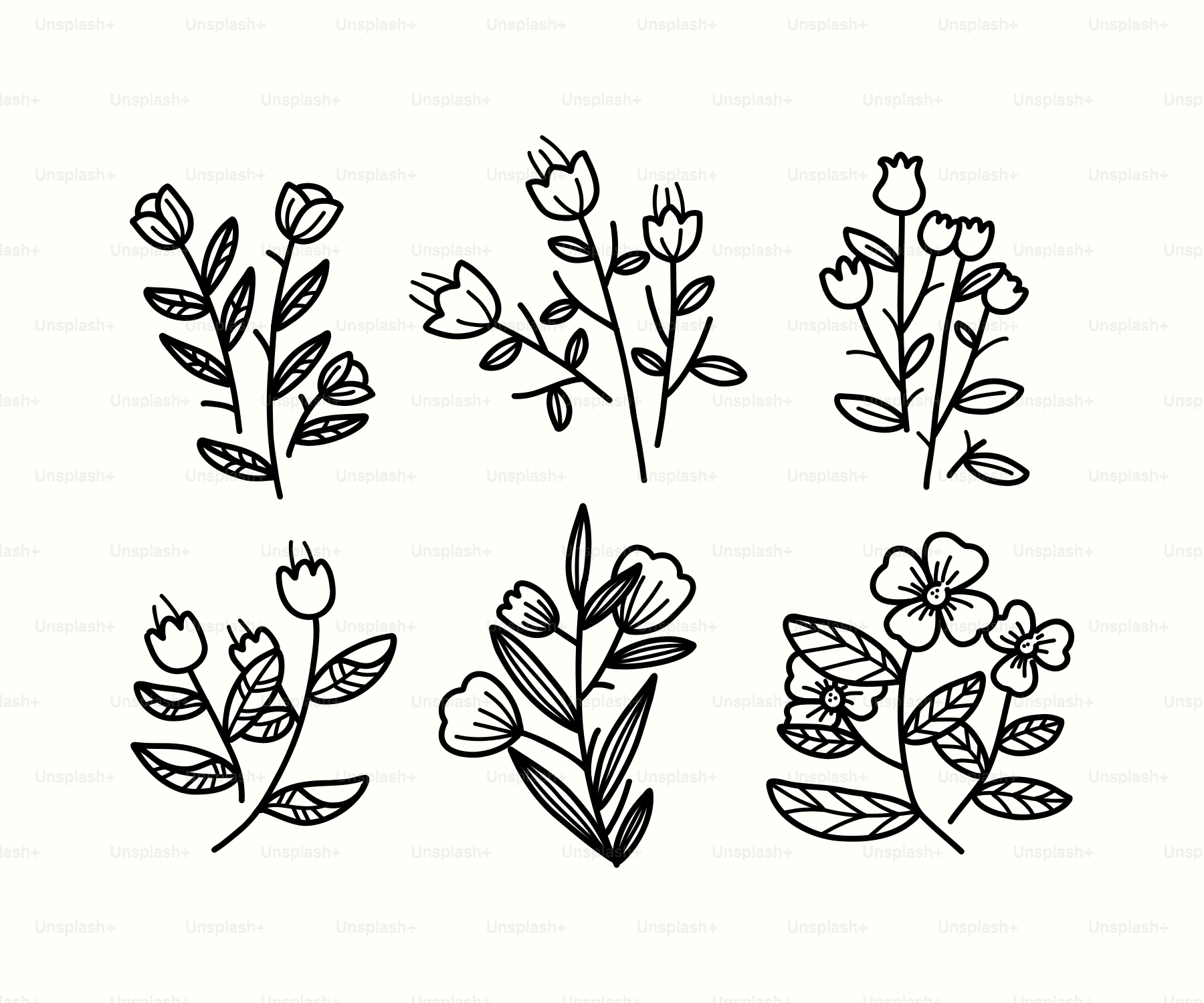 Ein Strauß Blumen auf weißem Hintergrund