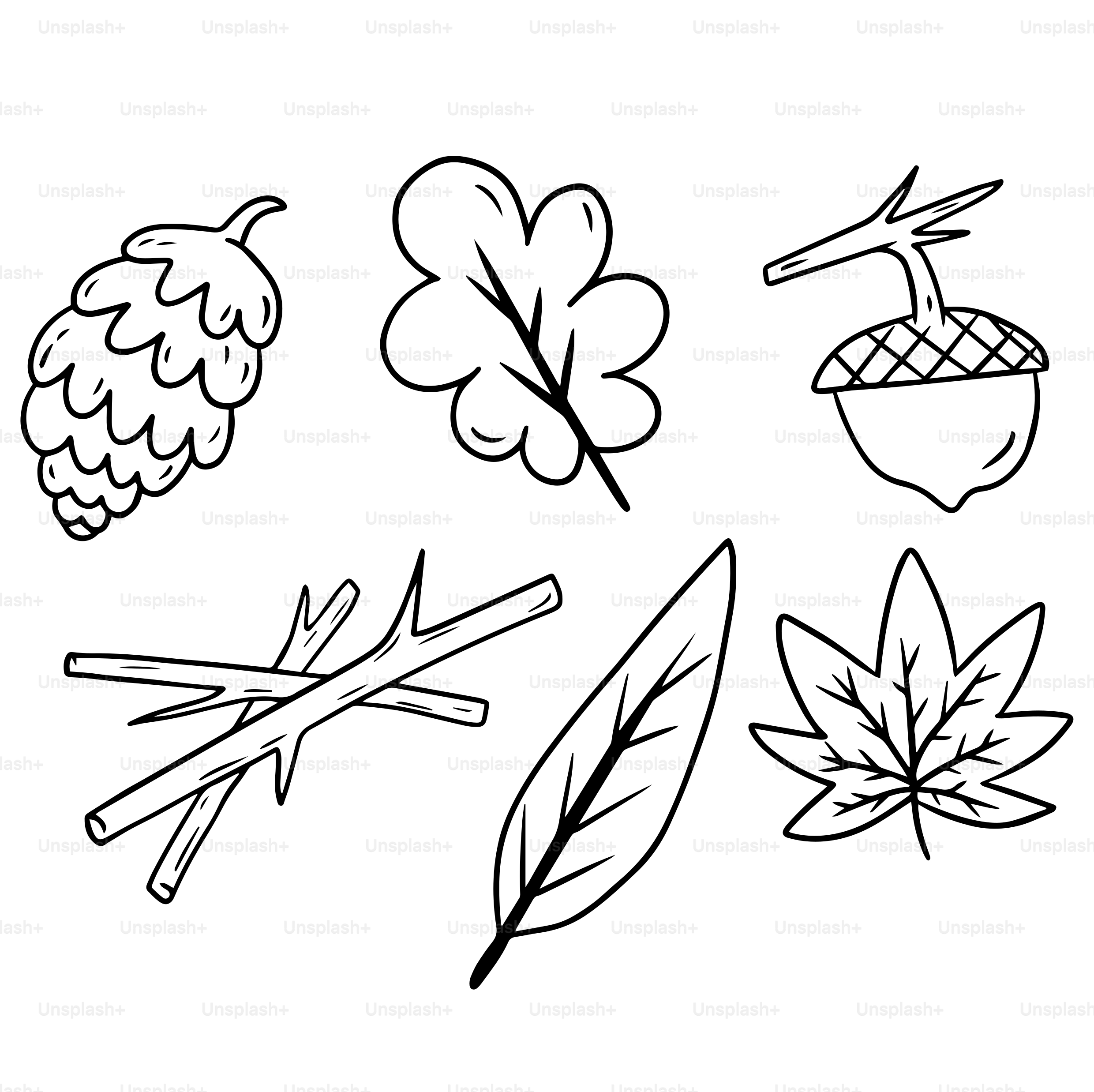 Um desenho em preto e branco de folhas e bagas