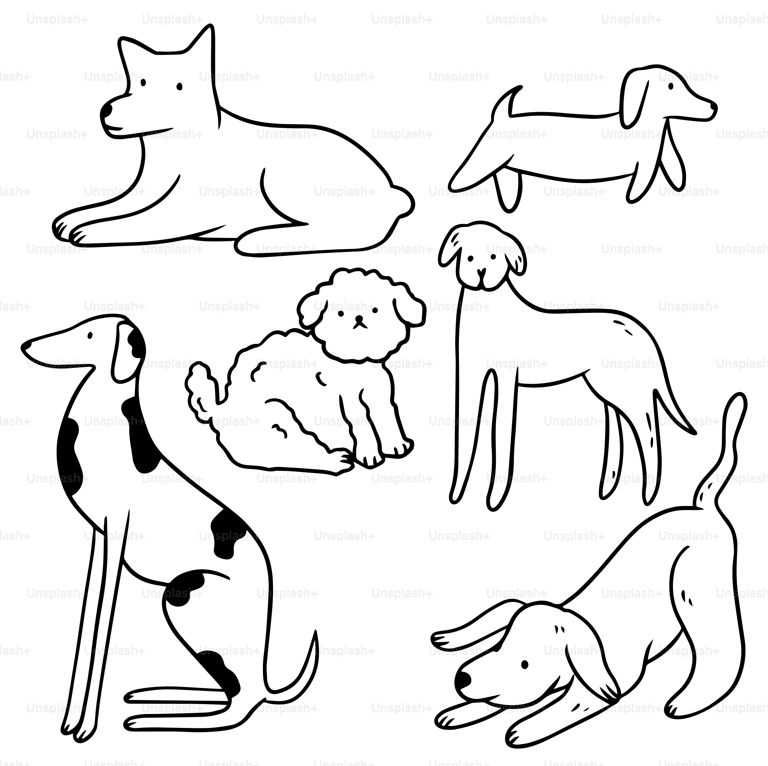 A black and white drawing of dogs and puppies