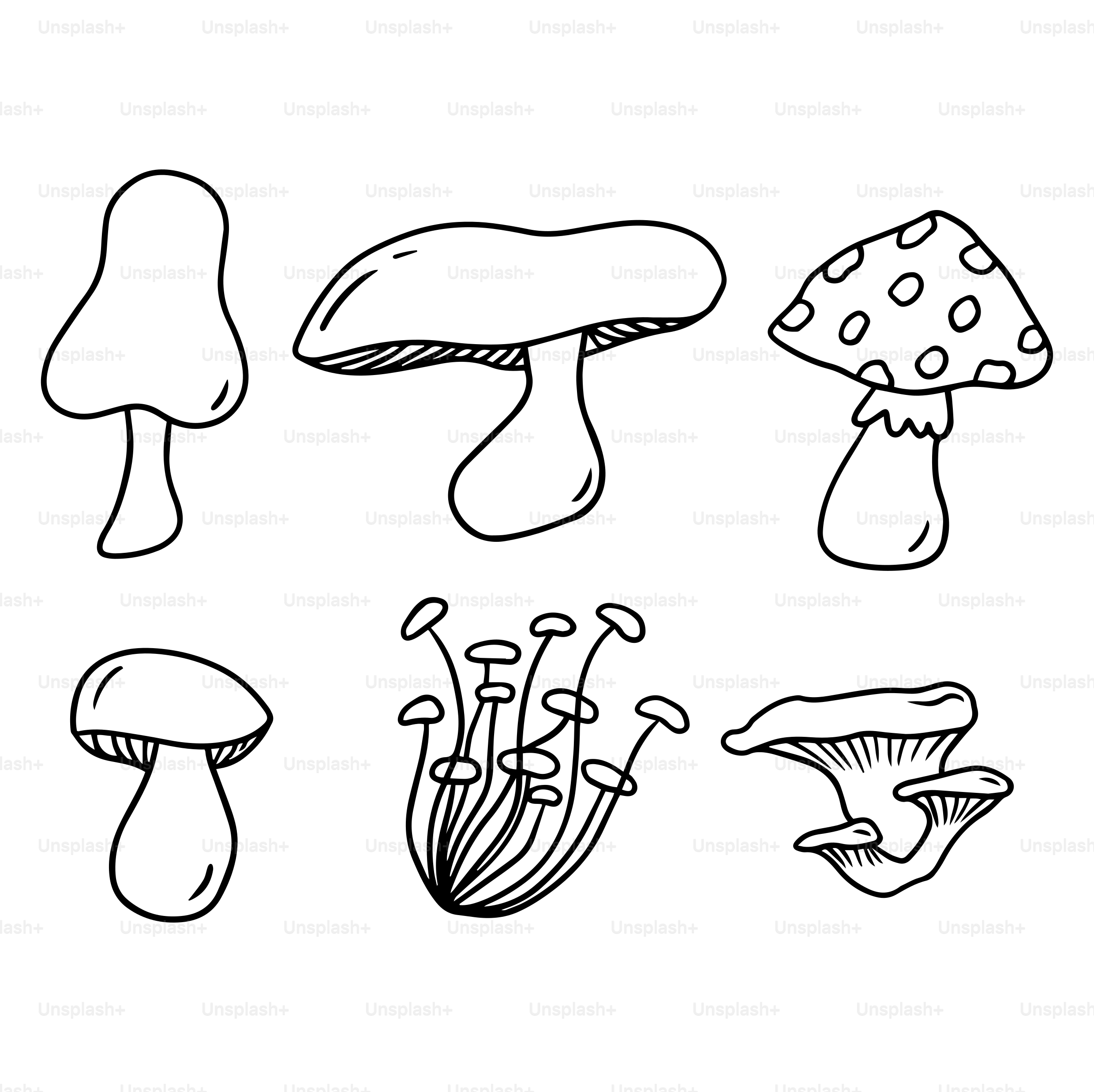 Um desenho em preto e branco de diferentes tipos de cogumelos