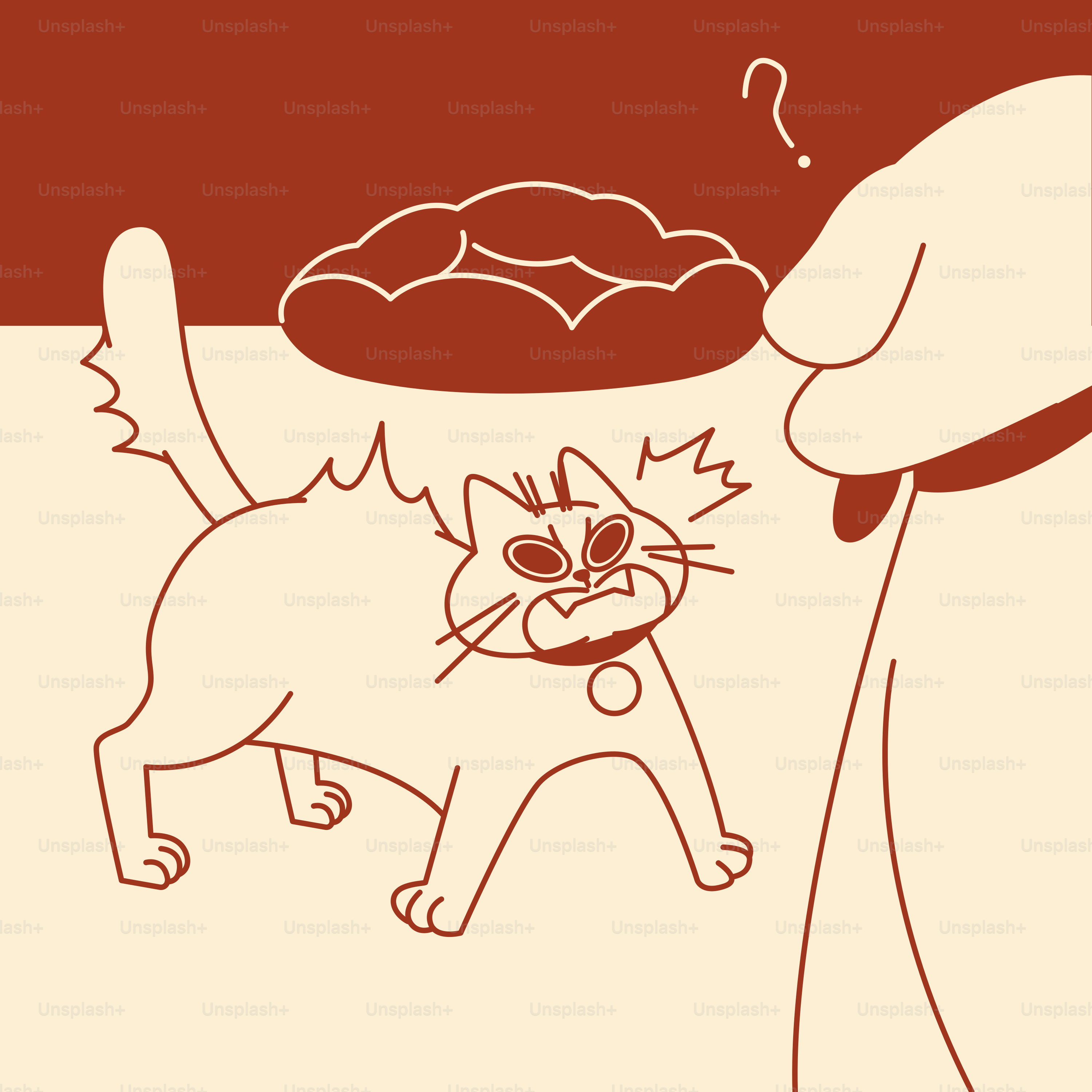 A cat is looking at a person with a plate of food on his head