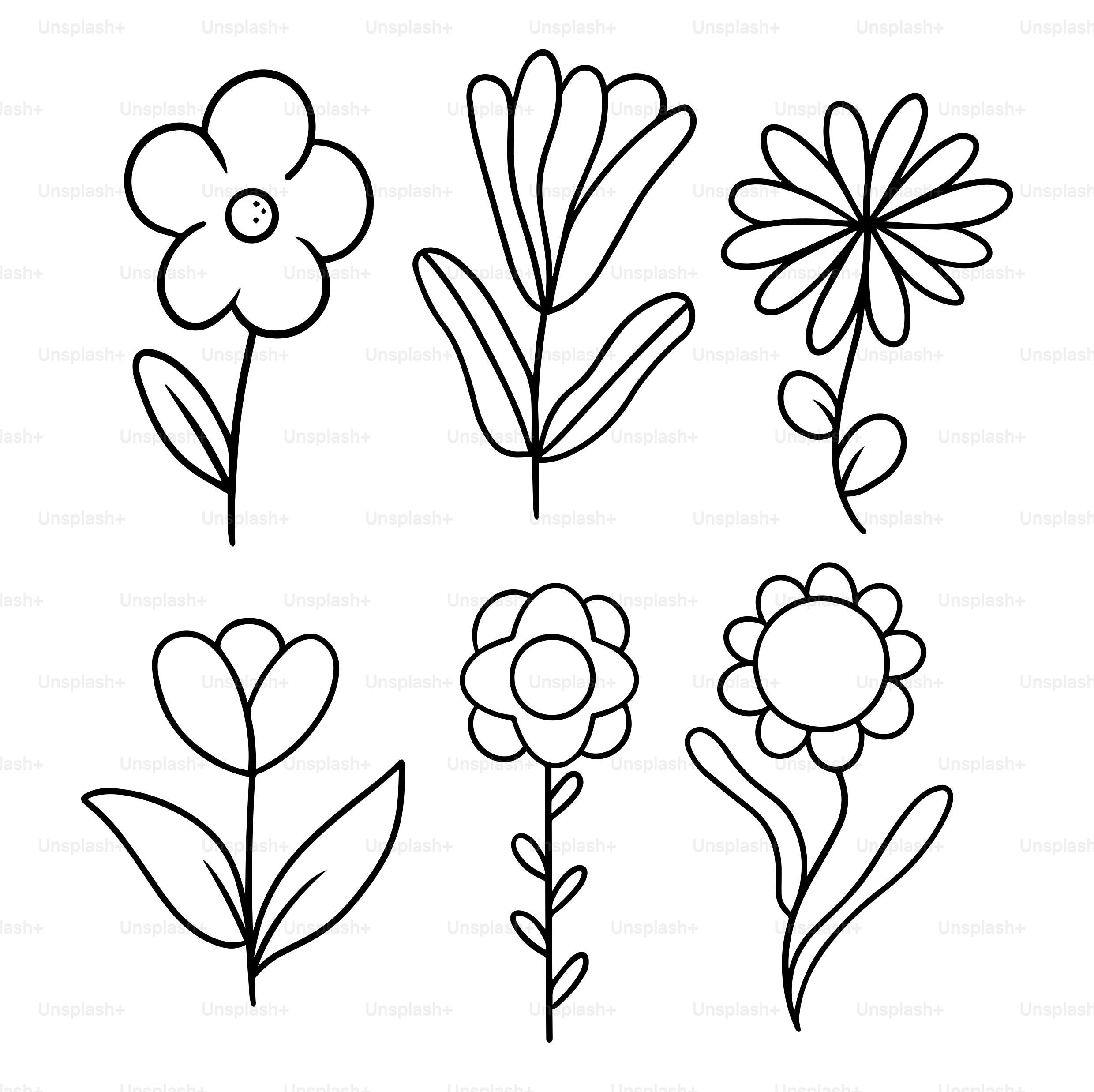 A line drawing of different types of flowers vector – Flowers Image on  Unsplash, image size:3000x2993