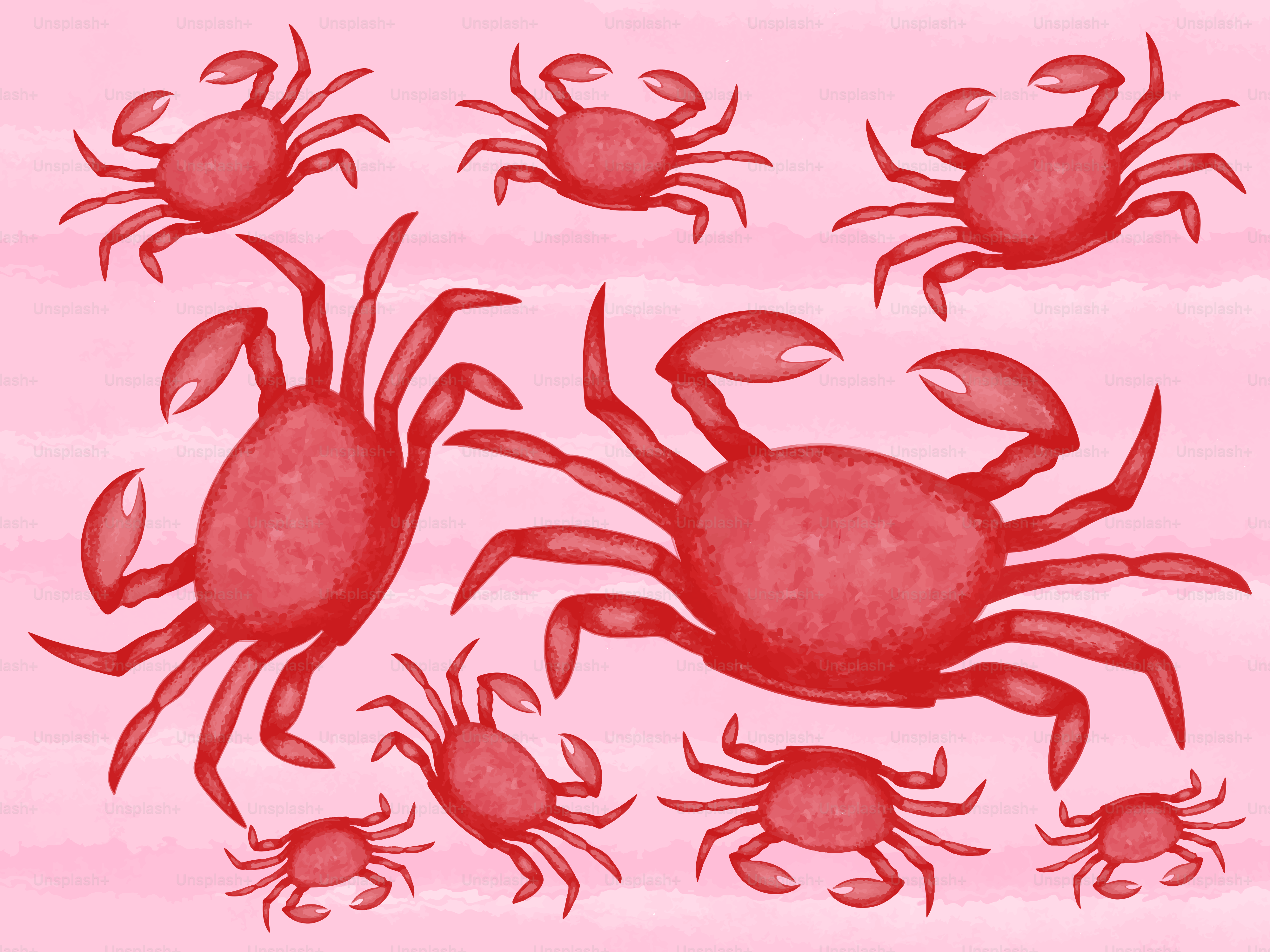 Eine Zeichnung von roten Krabben auf rosa Hintergrund