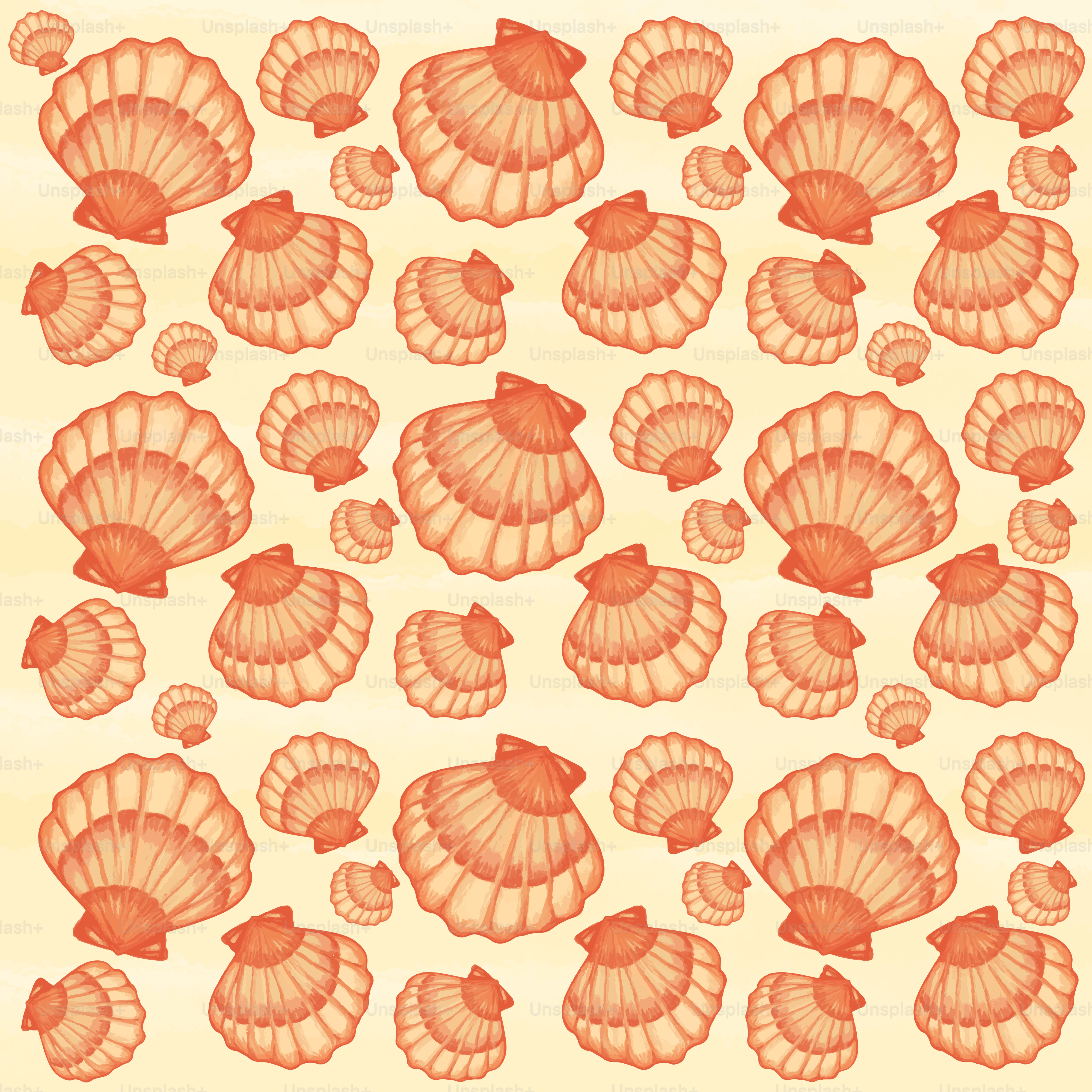 A drawing of a bunch of shells on a piece of paper