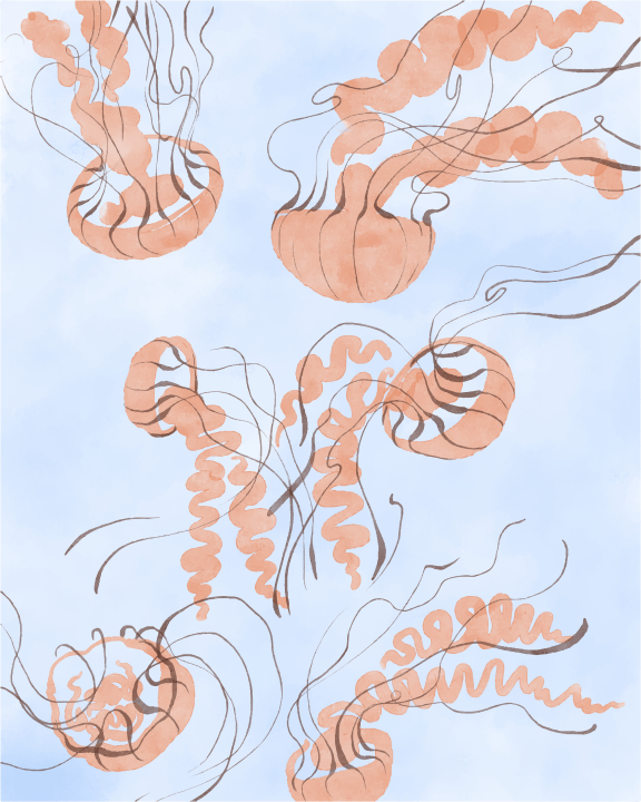 A drawing of a bunch of jellyfish on a blue background