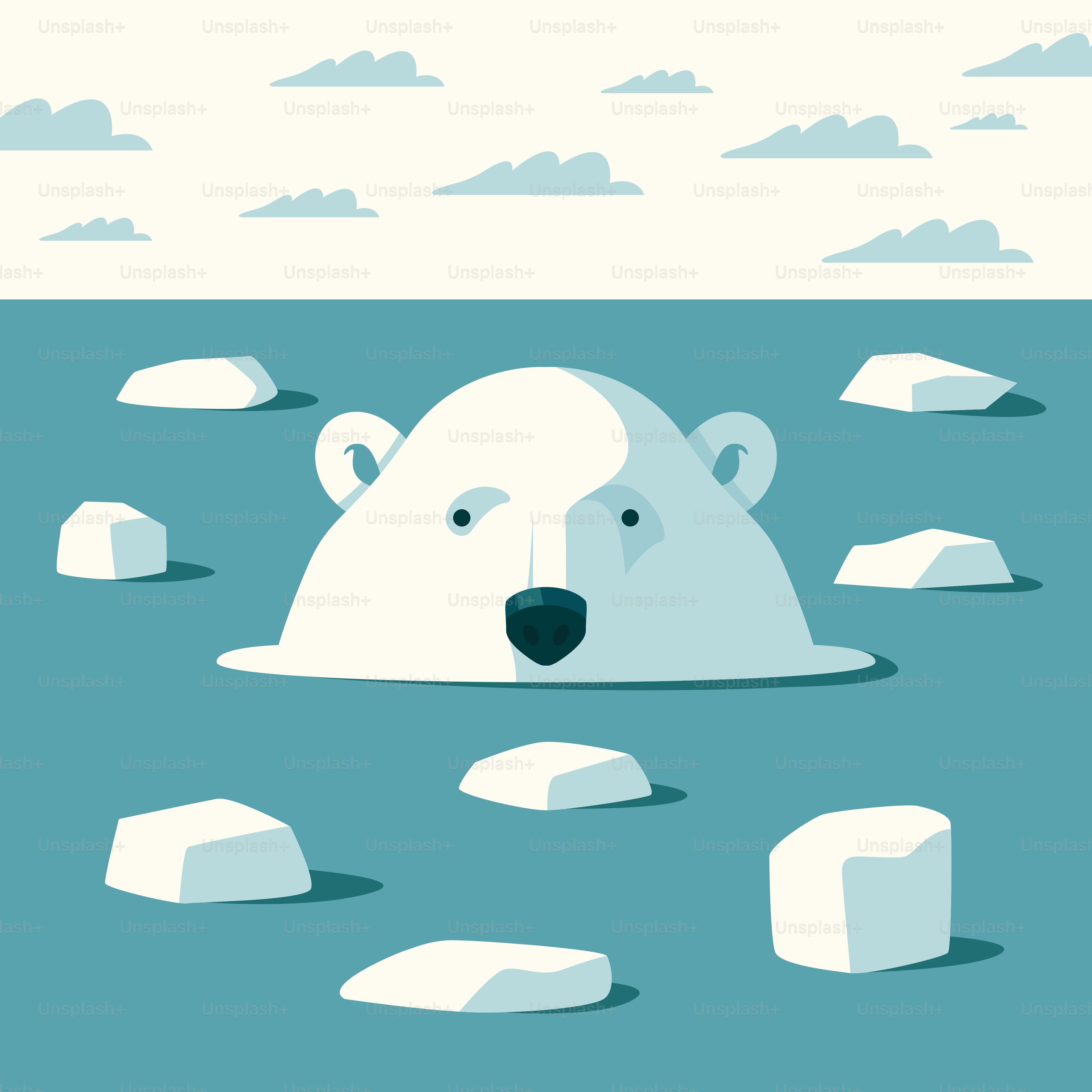 Un ours polaire nageant dans un plan d’eau