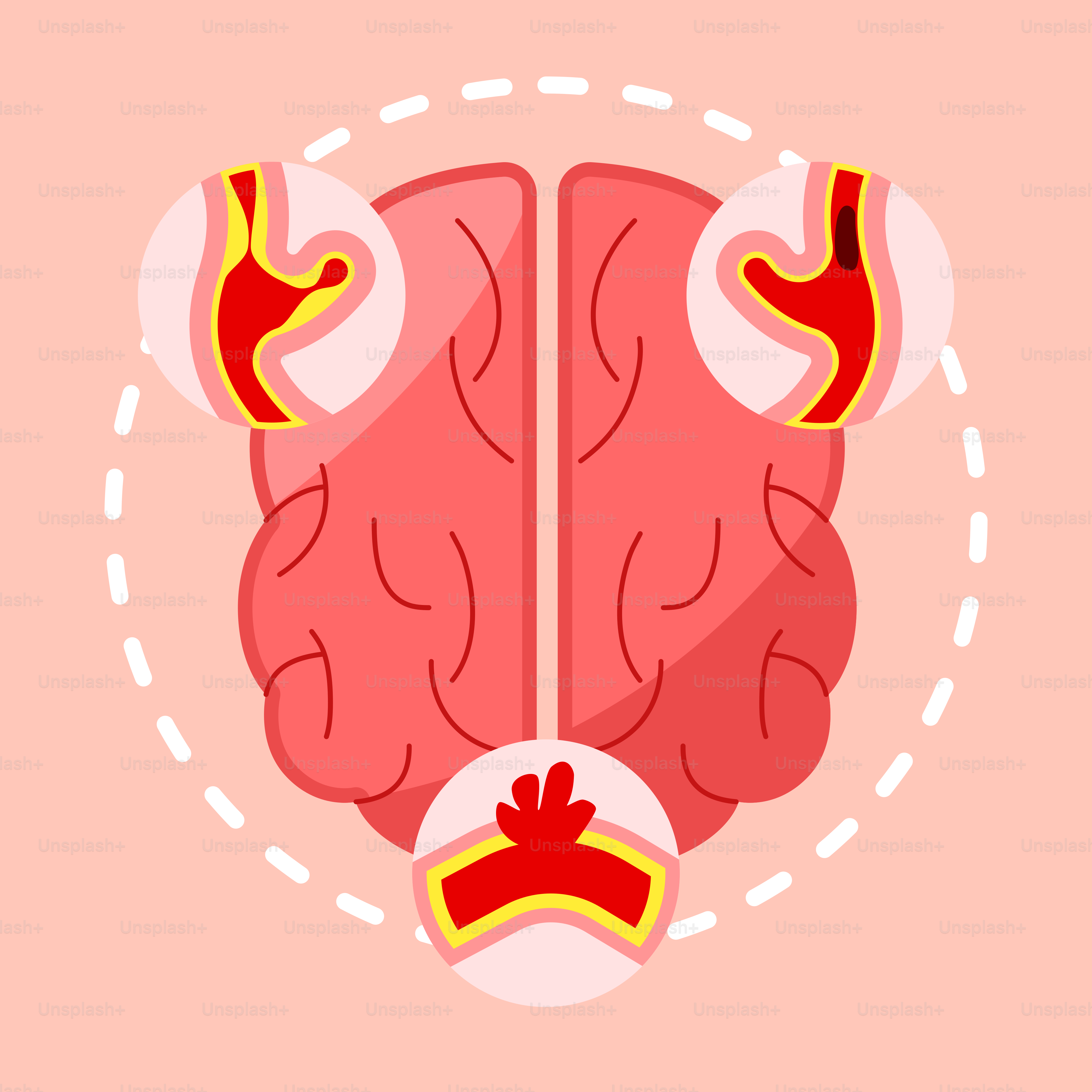 A flat design of a human brain