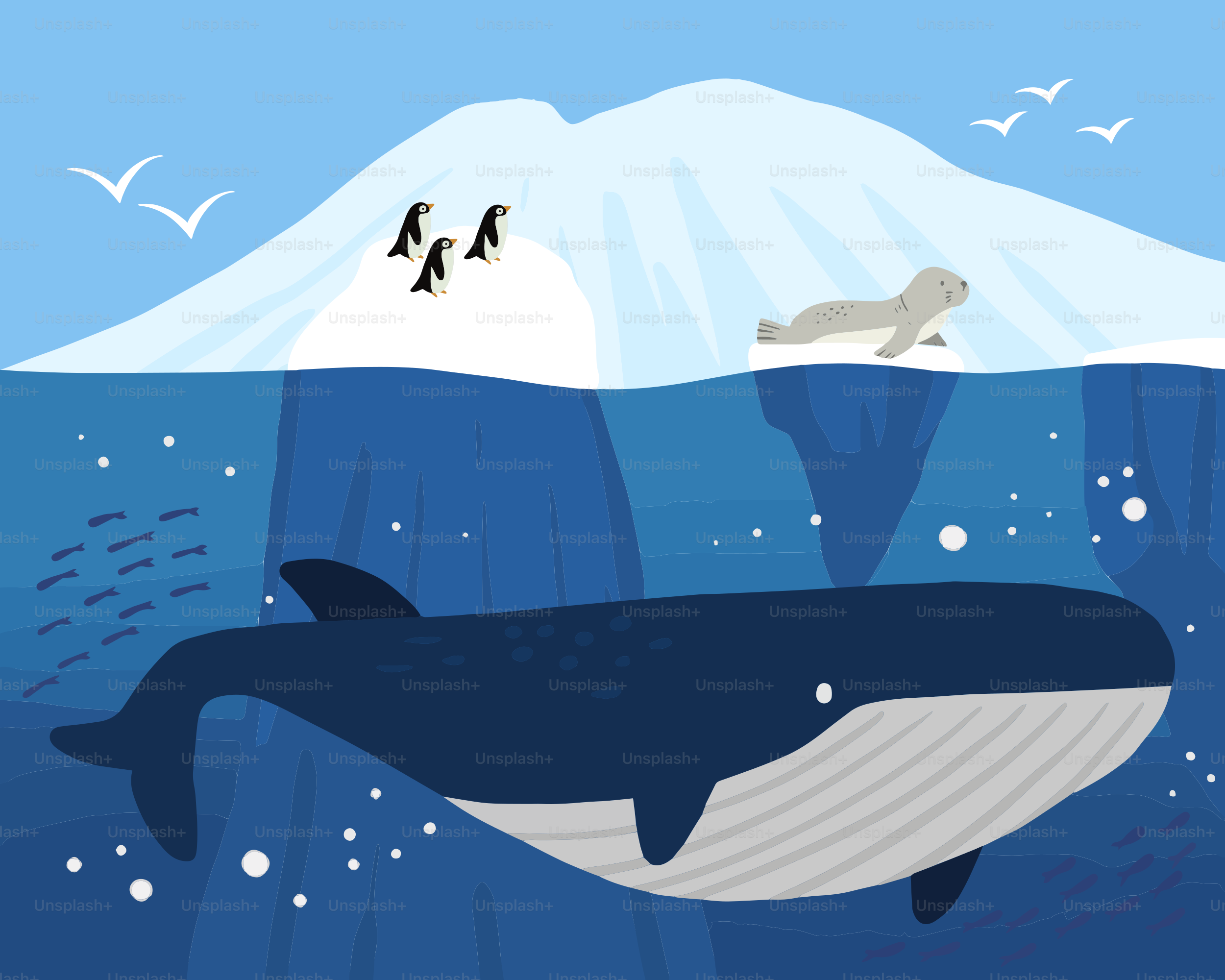 Une illustration d’une baleine nageant dans l’océan