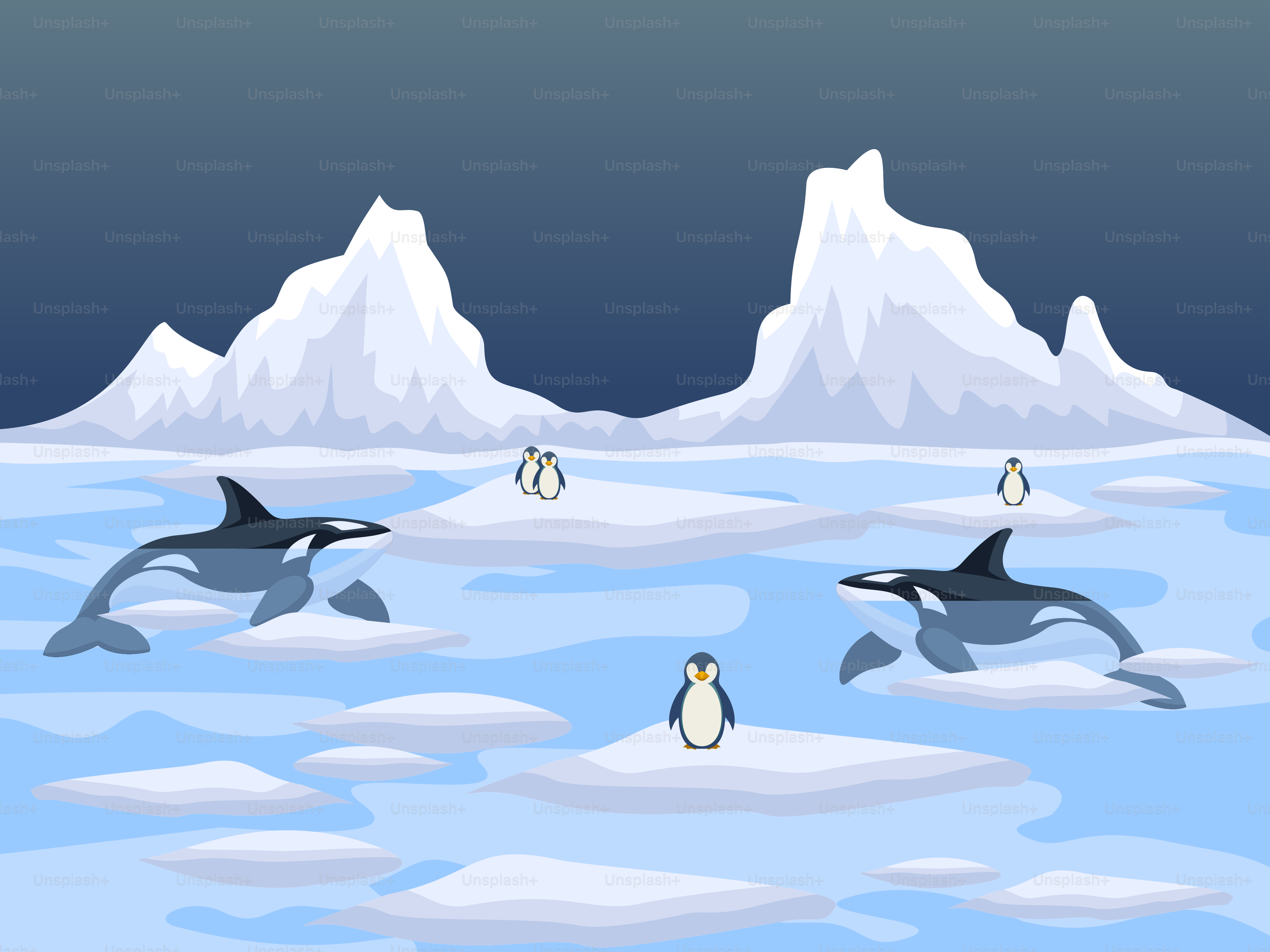 Un gruppo di pinguini che nuotano nell'oceano