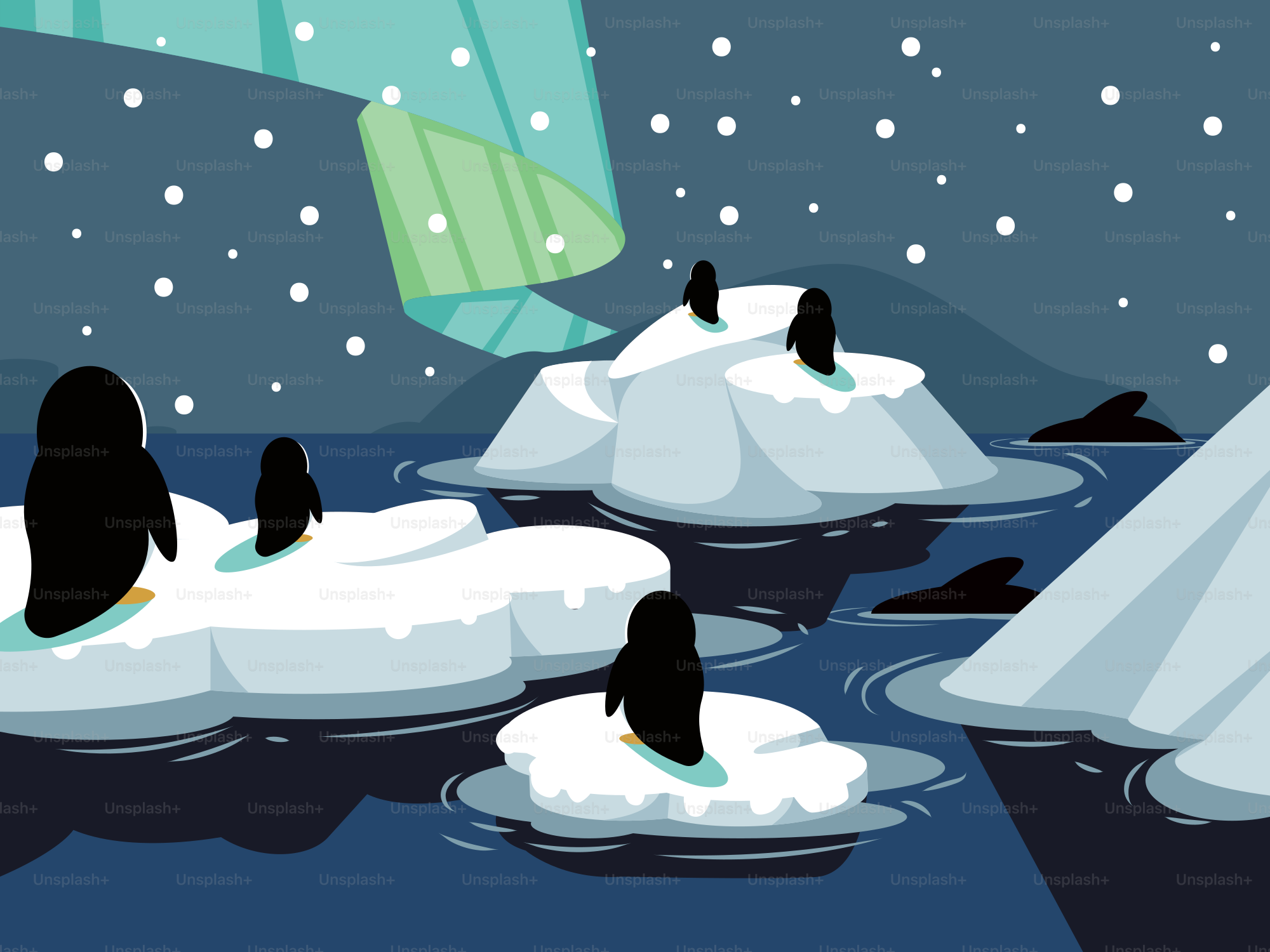 A group of penguins floating on top of a body of water