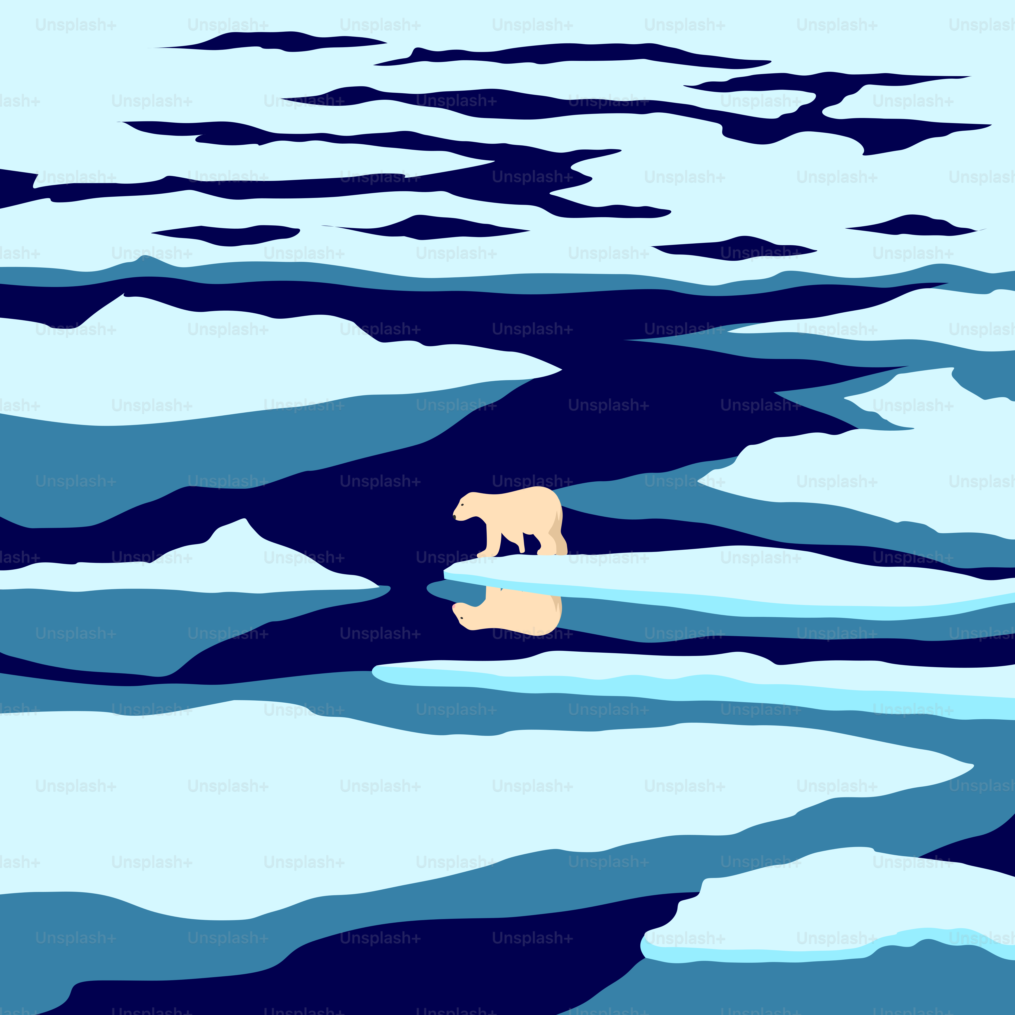 A polar bear swimming in the water with ice floes