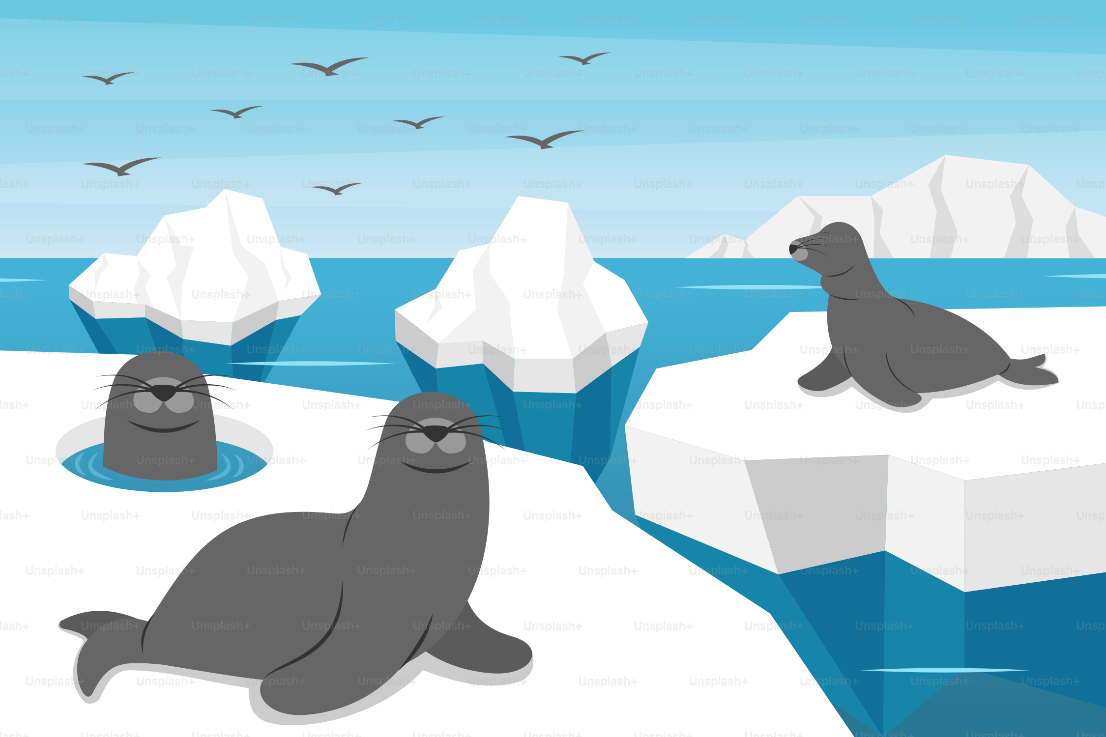 A group of seals sitting on top of an iceberg