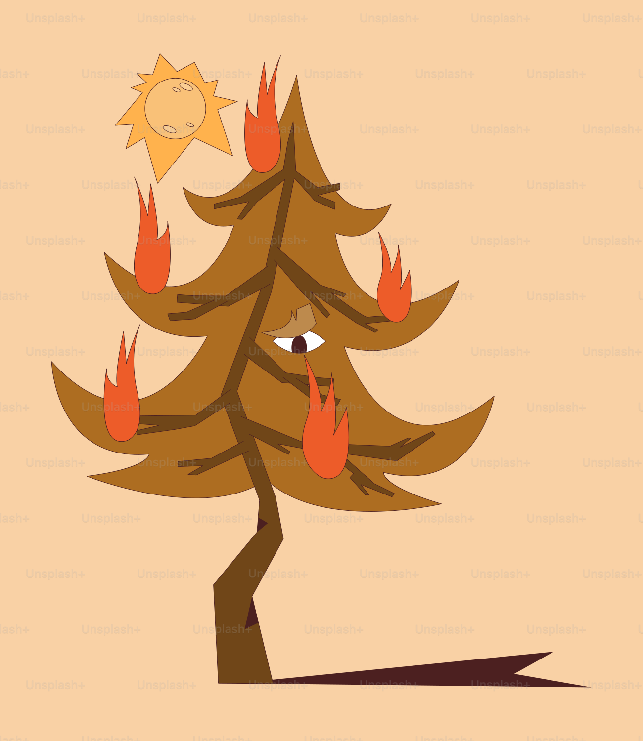 A picture of a pine tree with the sun in the background