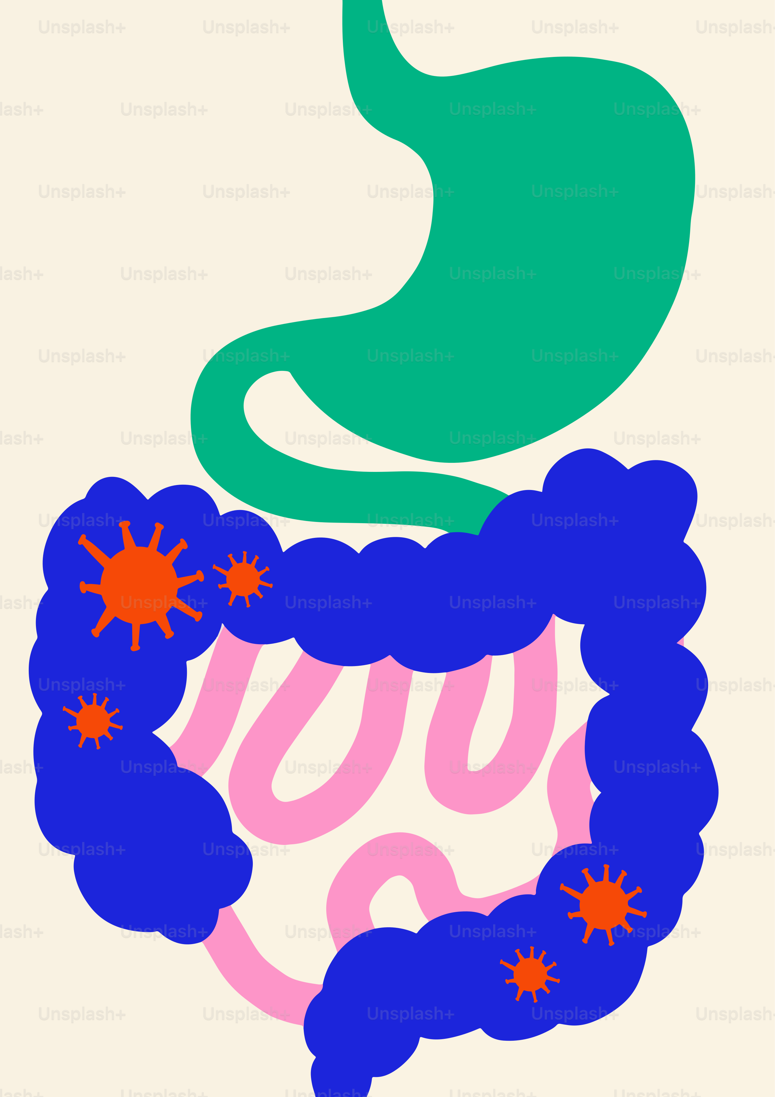 Un dibujo de un vientre con una flor