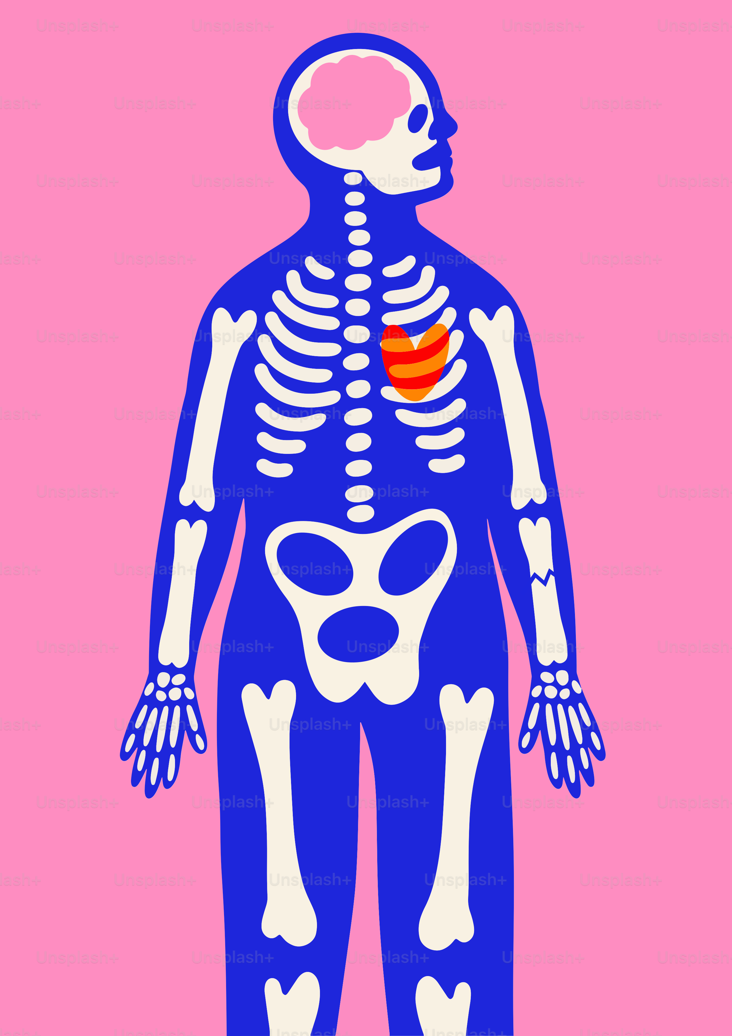 A skeleton with a heart in it's chest