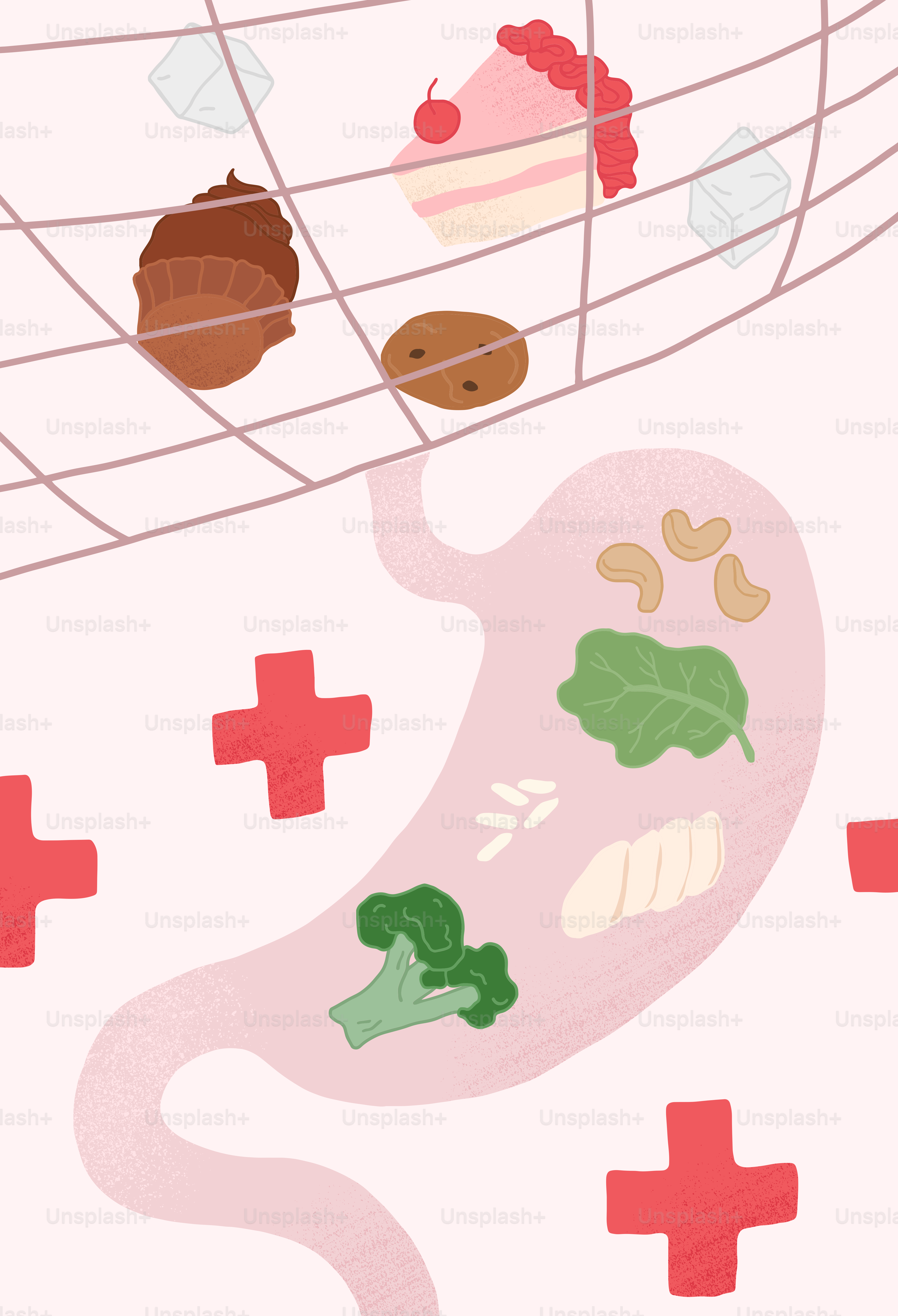 Una imagen de un montón de comida en un estante