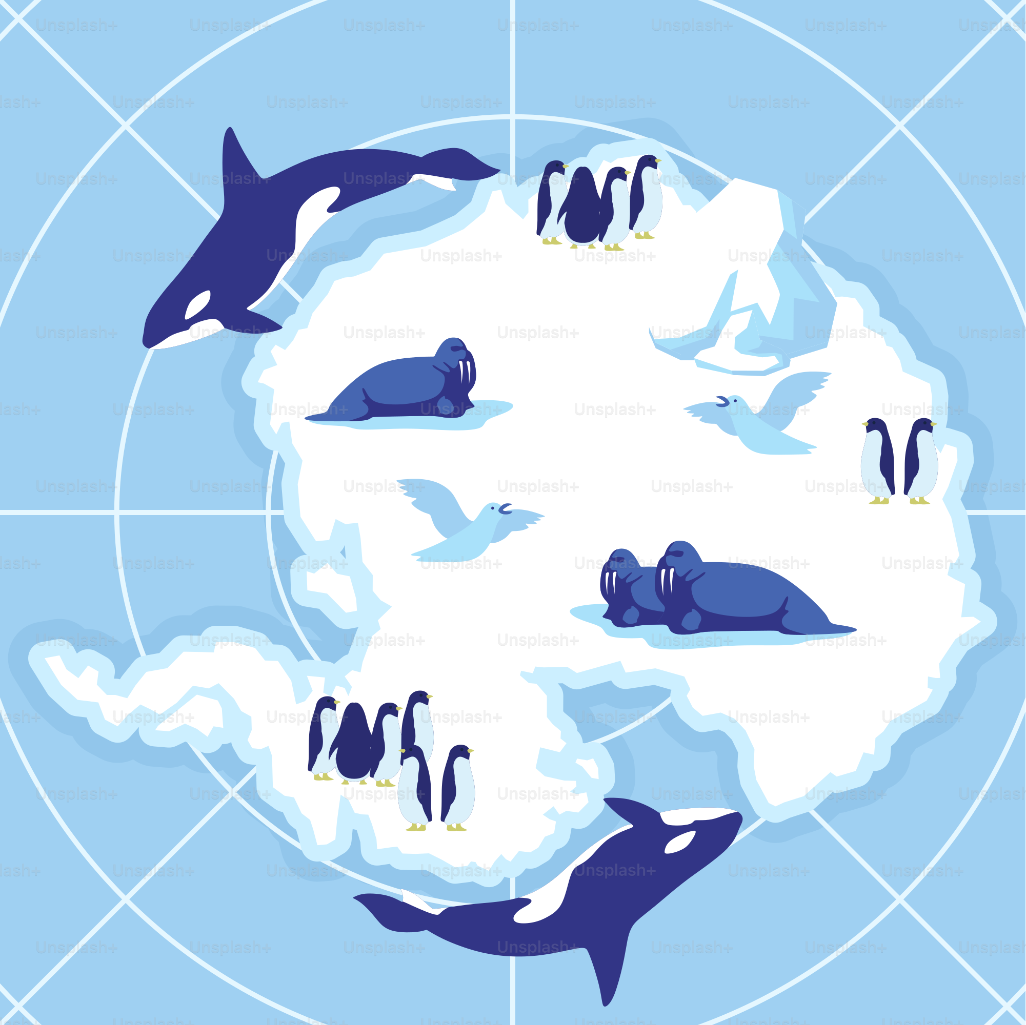 A group of penguins floating on top of an iceberg