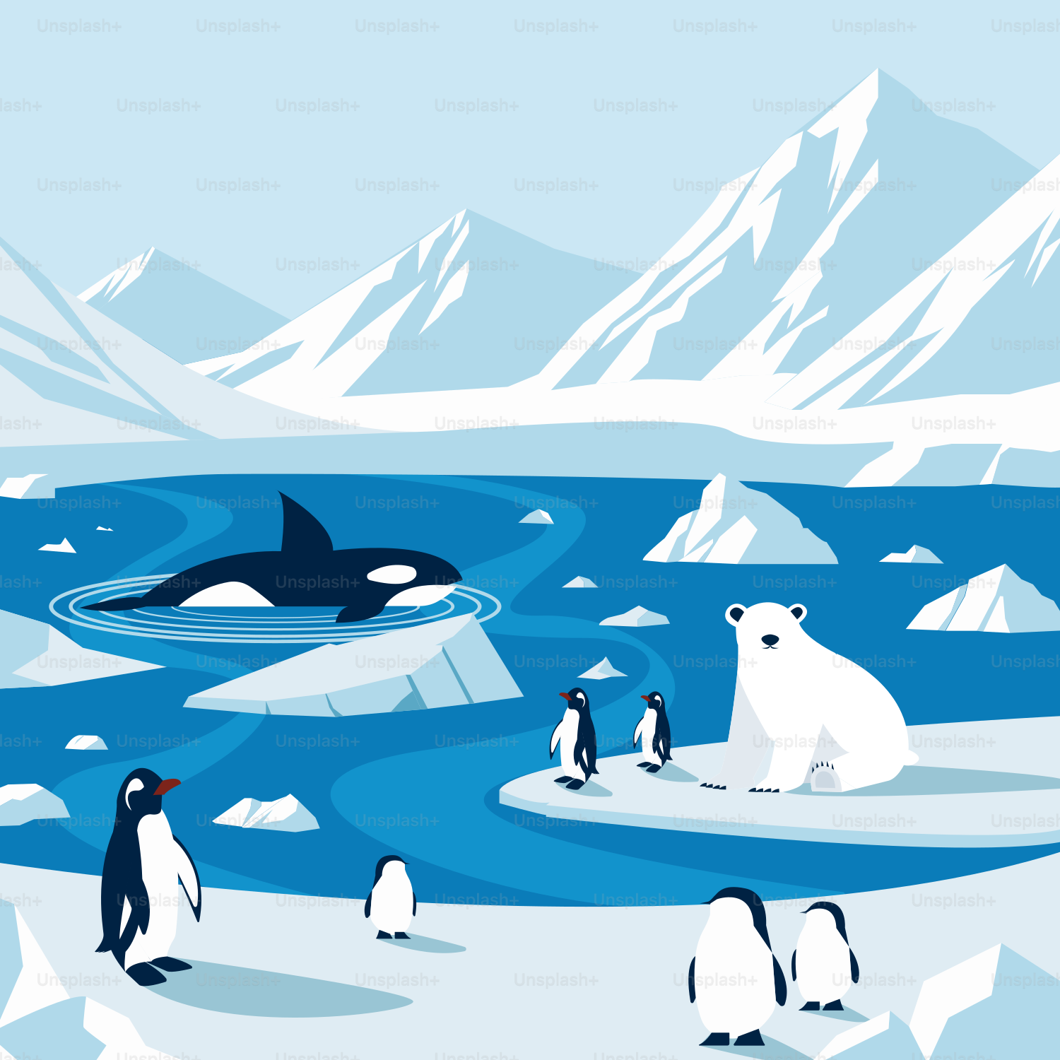 Un gruppo di pinguini e un'orca nella neve