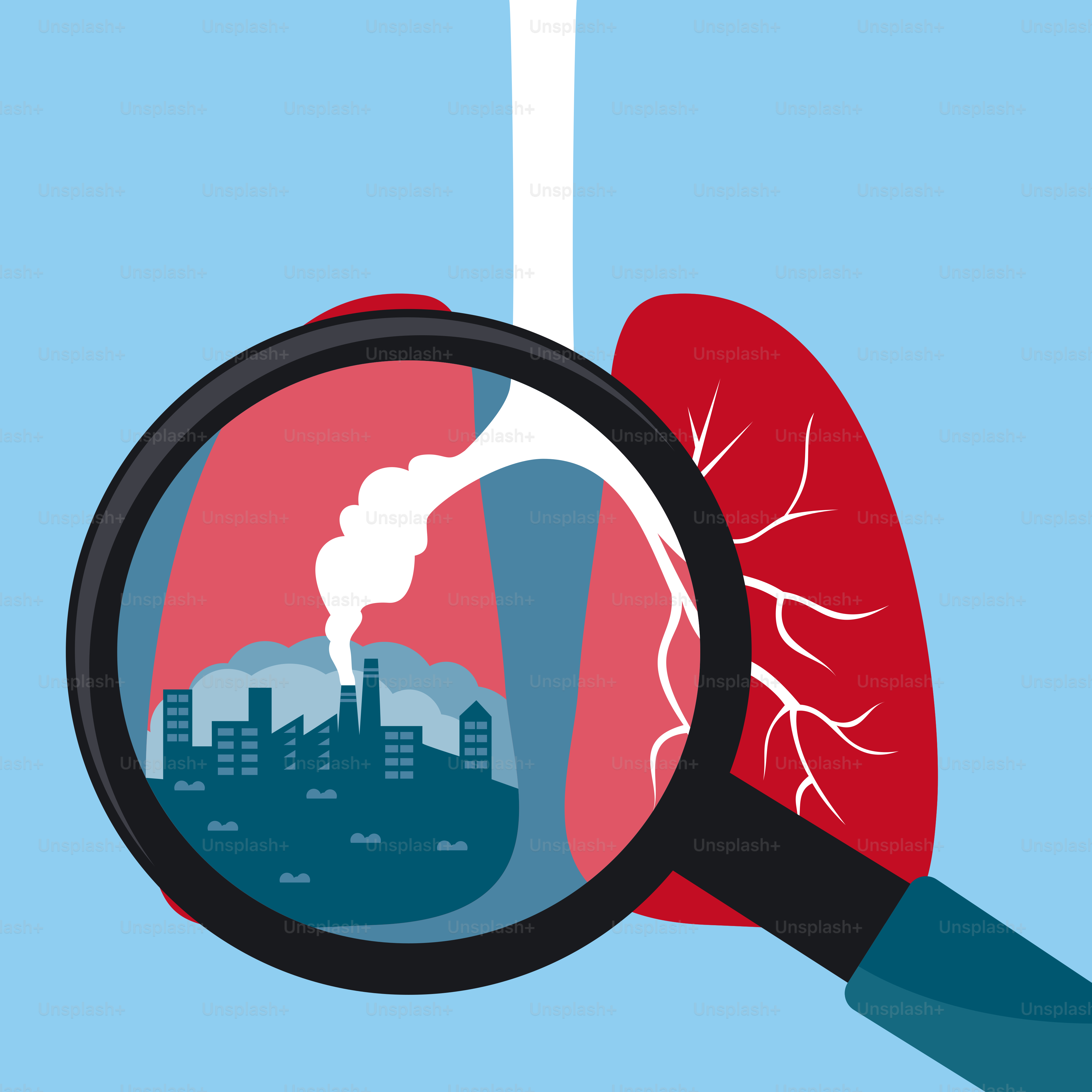 A person holding a magnifying glass looking at a lung