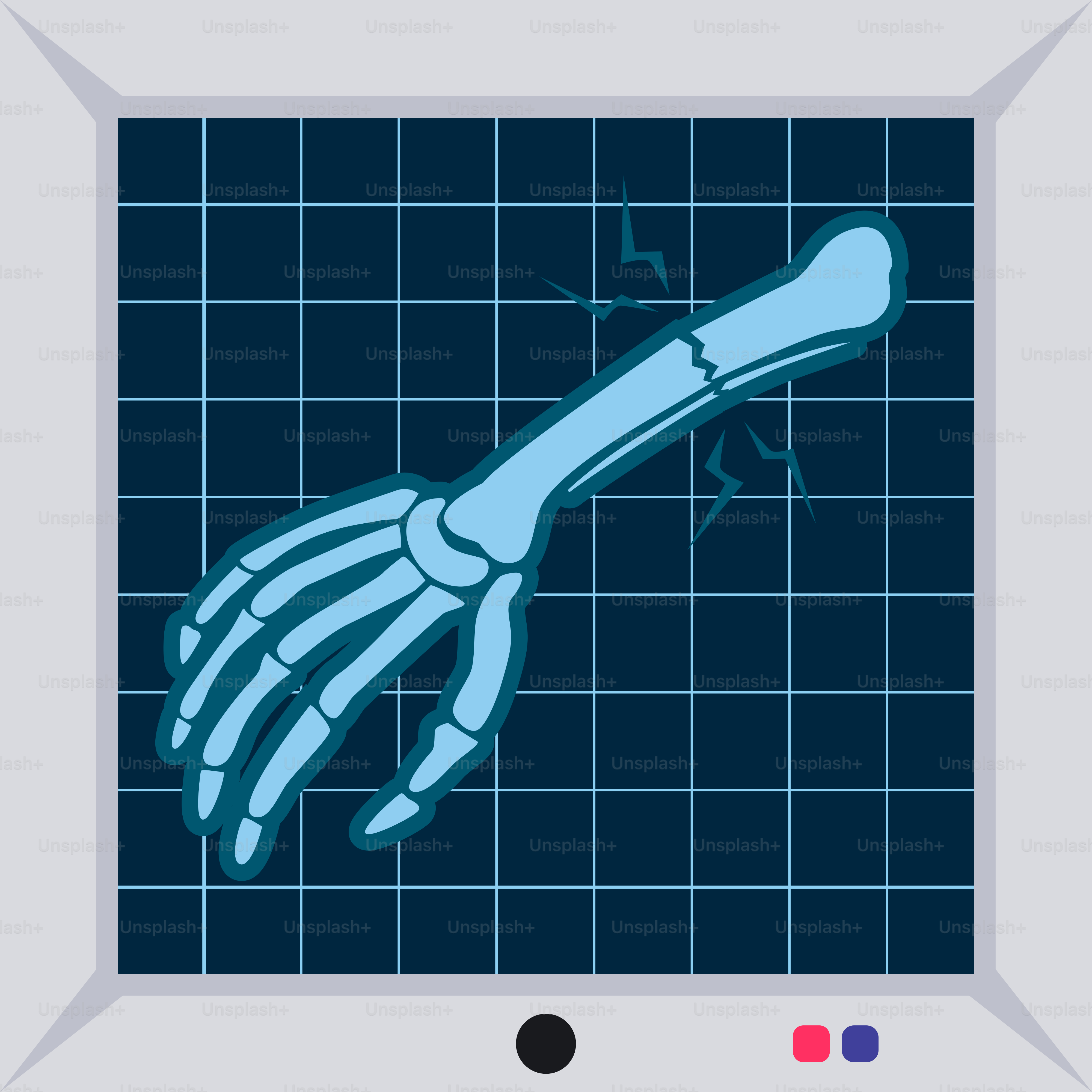 A picture of a hand holding a bone