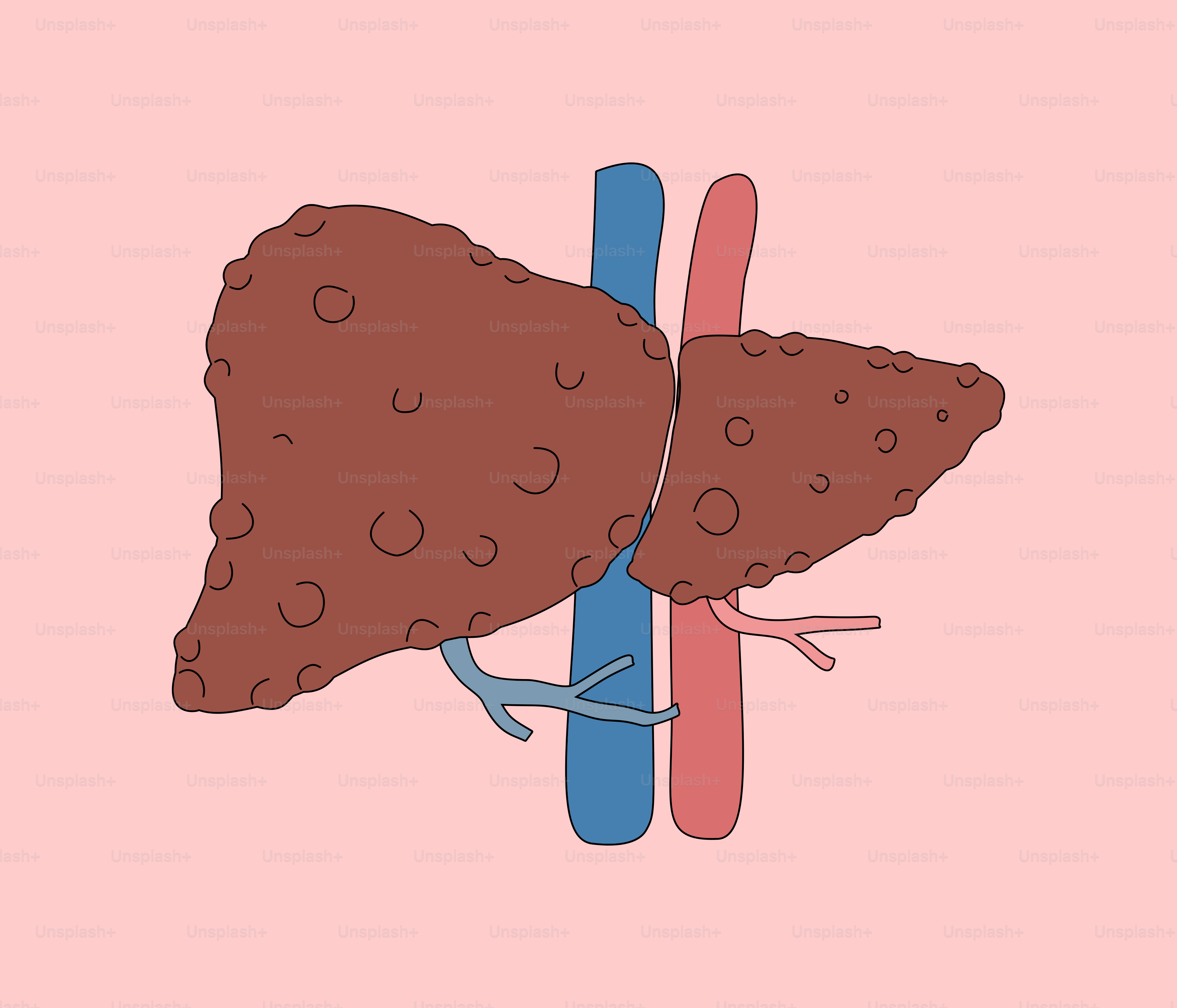 Un dibujo de un trozo de carne en un tenedor