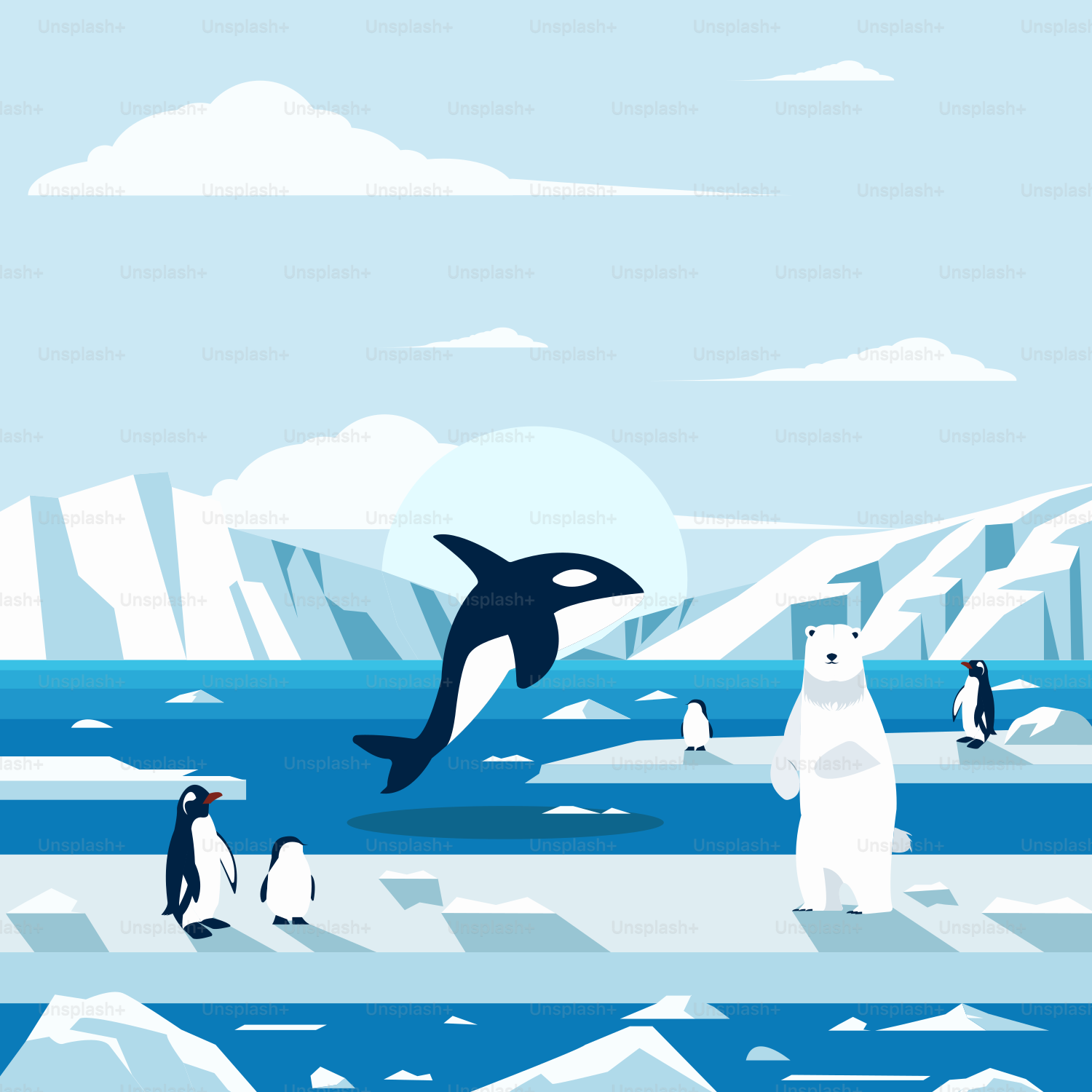 Um grupo de pinguins e uma orca na água