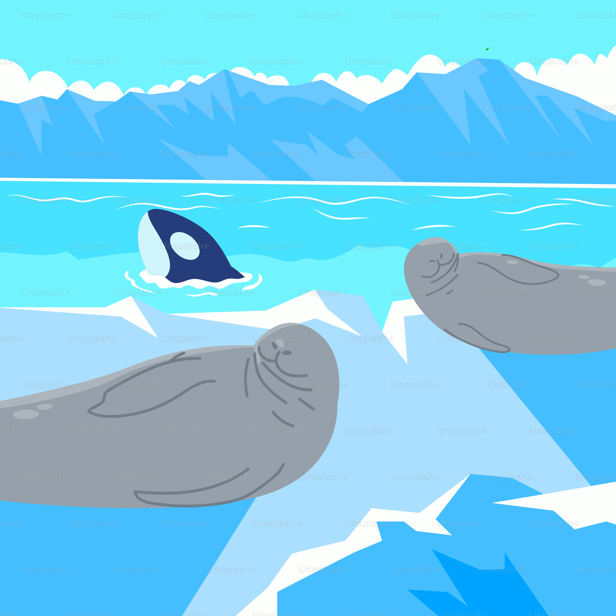 A couple of animals that are in the water