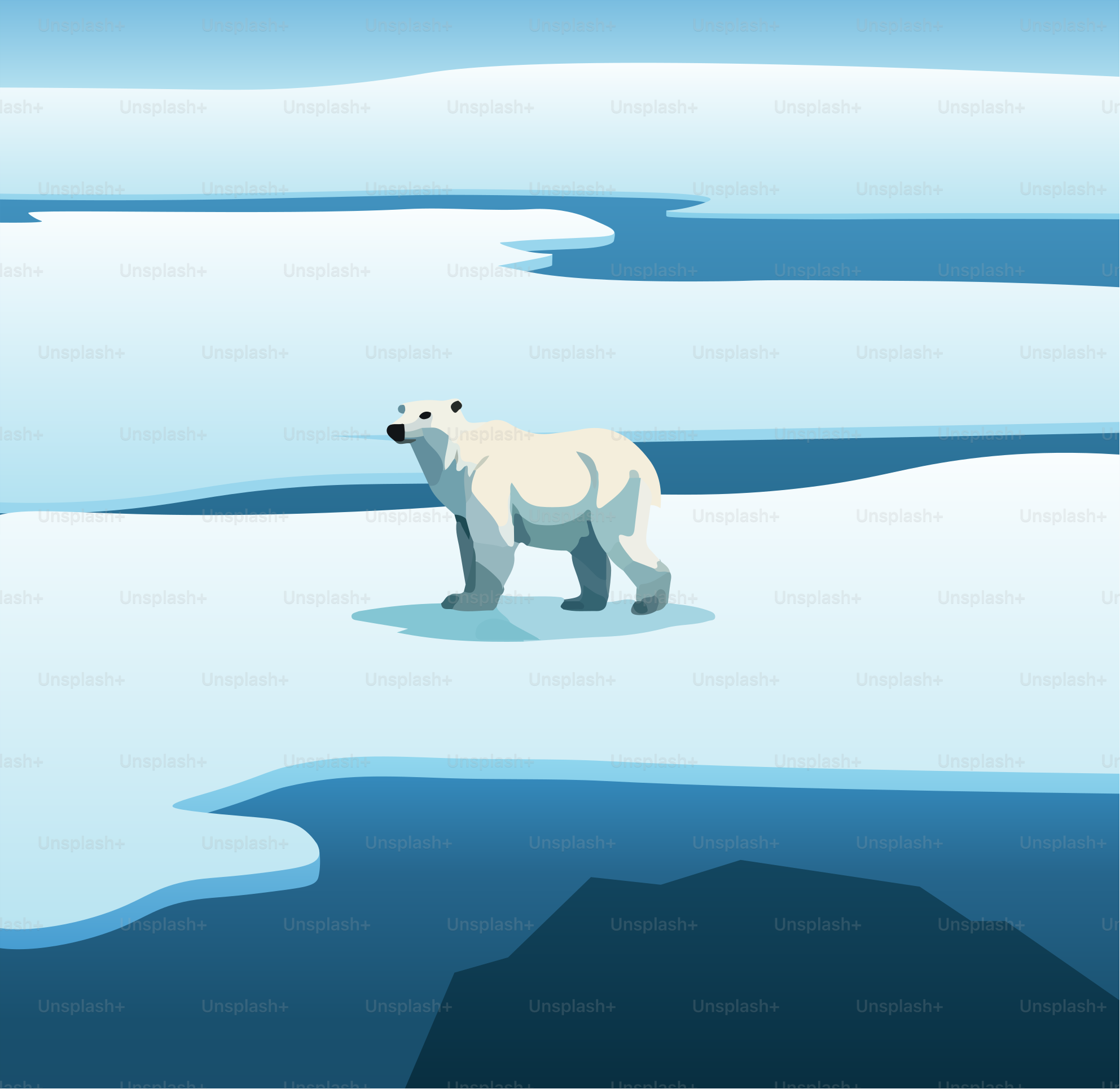 A polar bear is walking across the ice