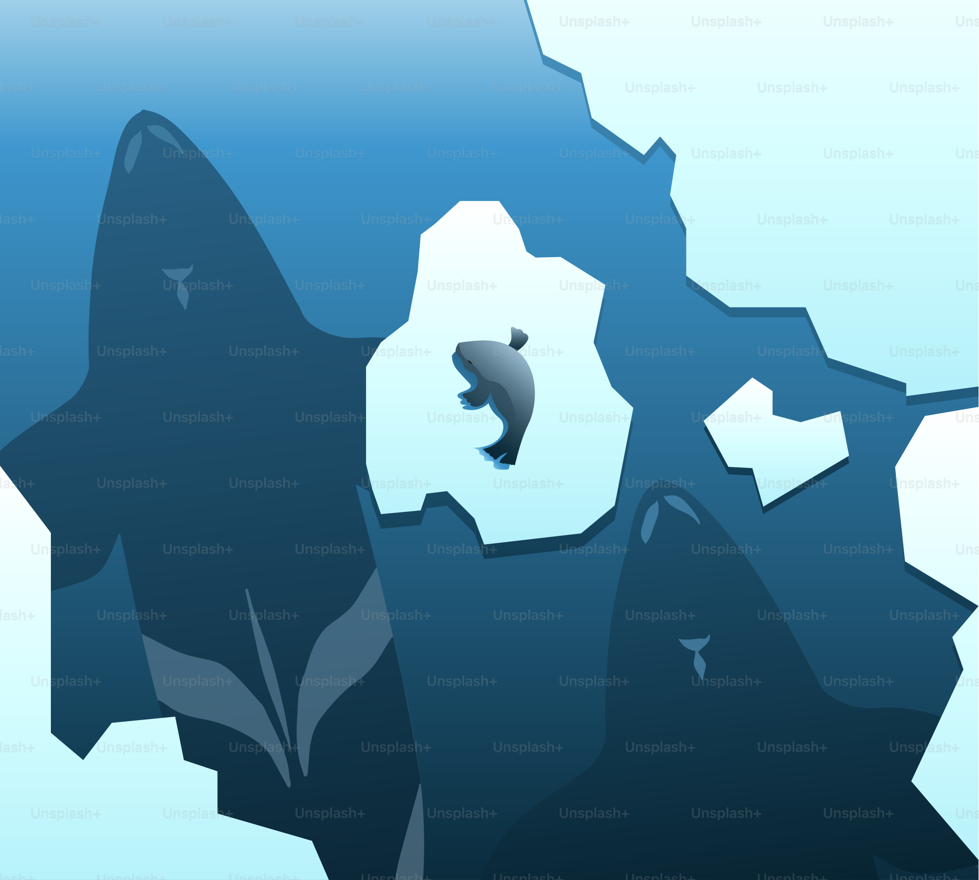 A picture of a fish in the water