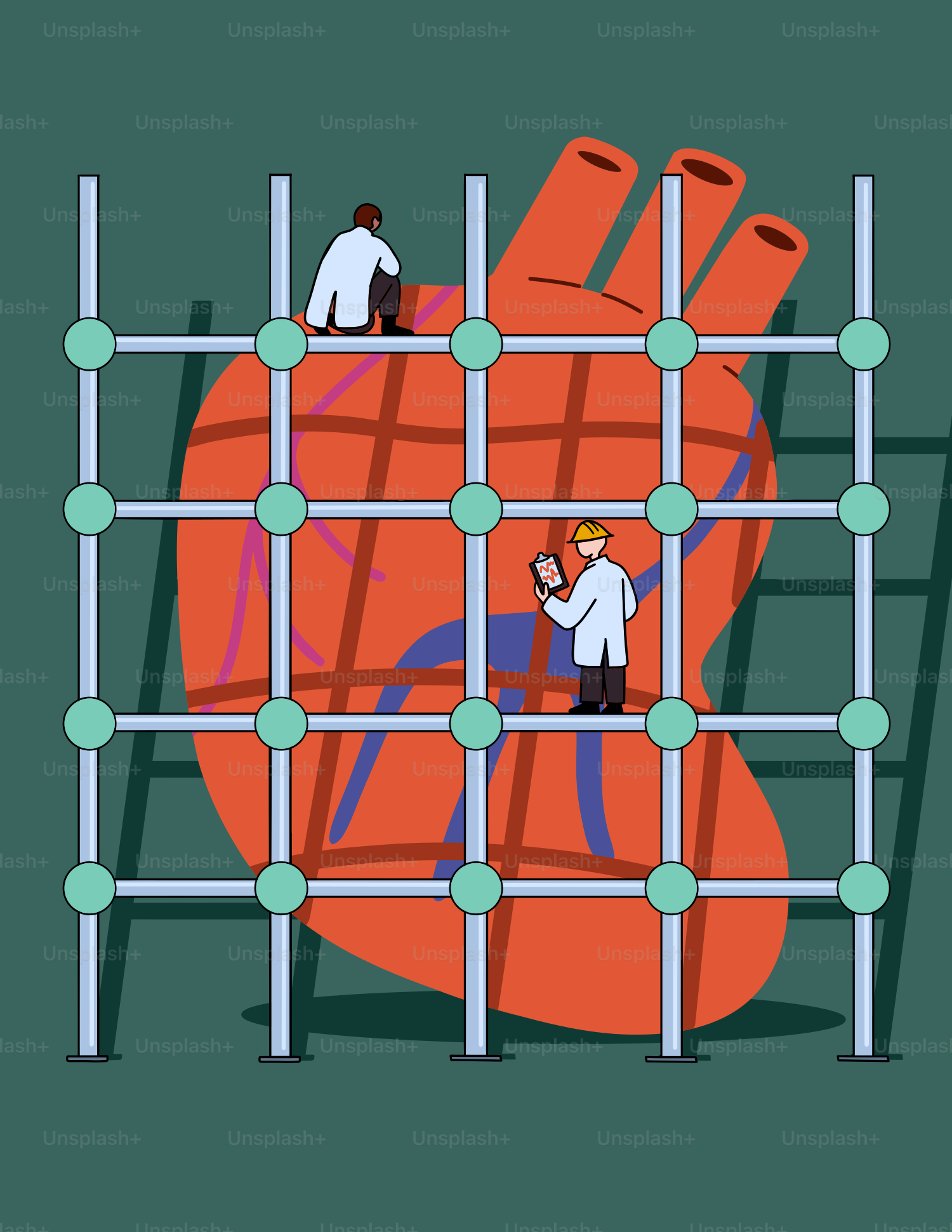 Dos hombres trabajan en un corazón gigante