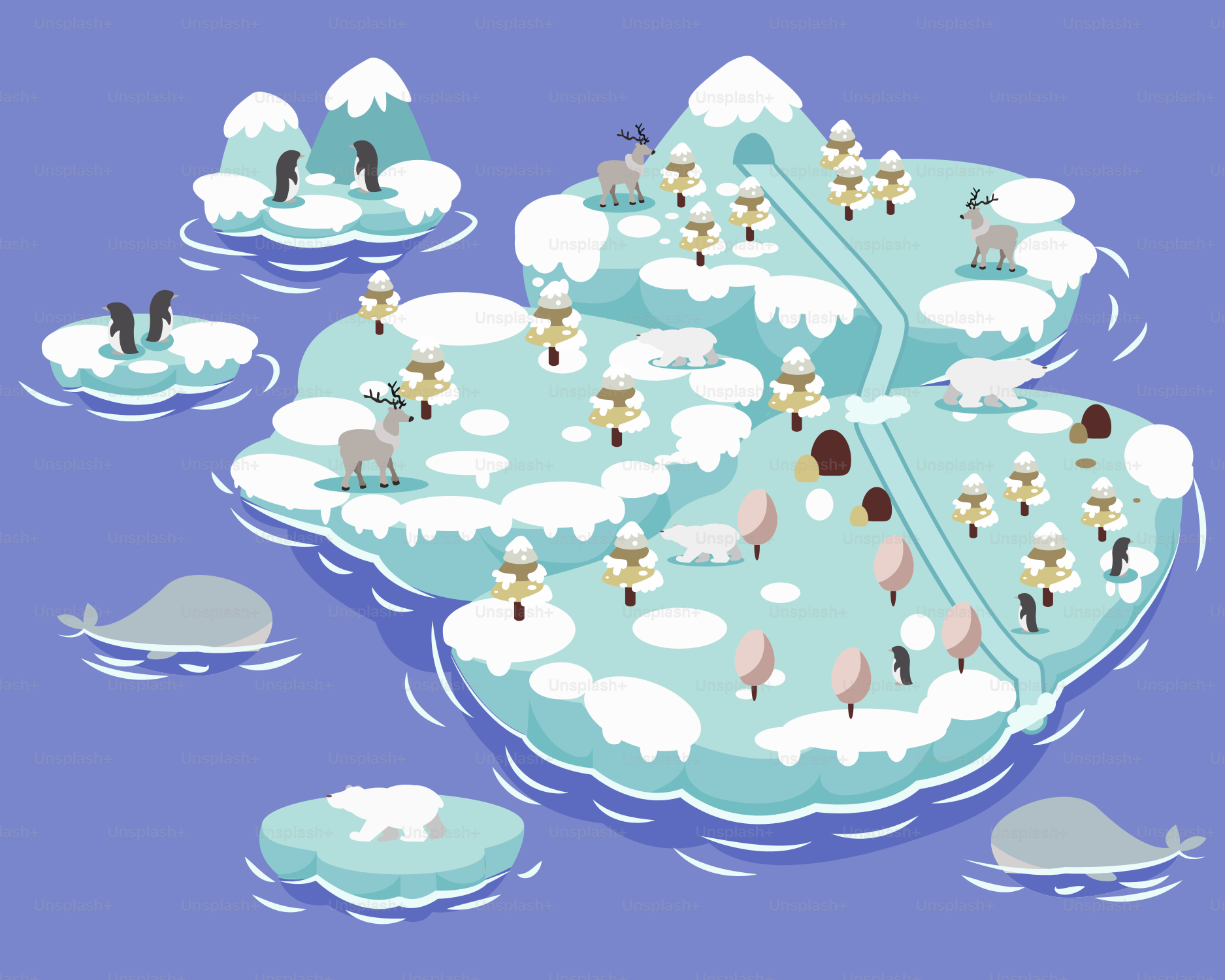 A group of people standing on top of an iceberg