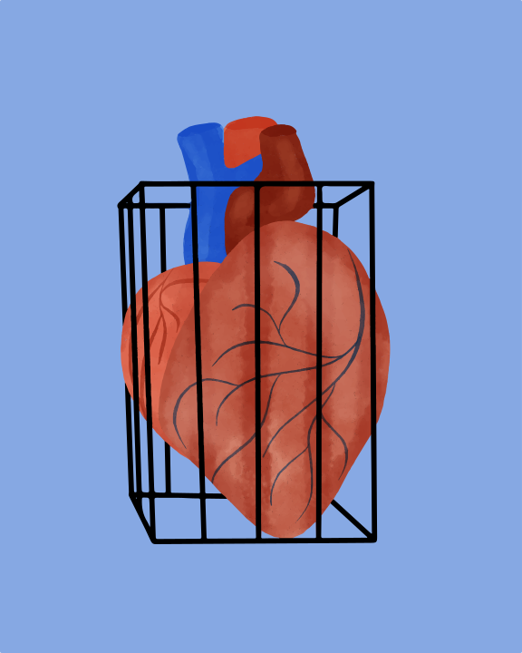 A drawing of a human heart in a cage