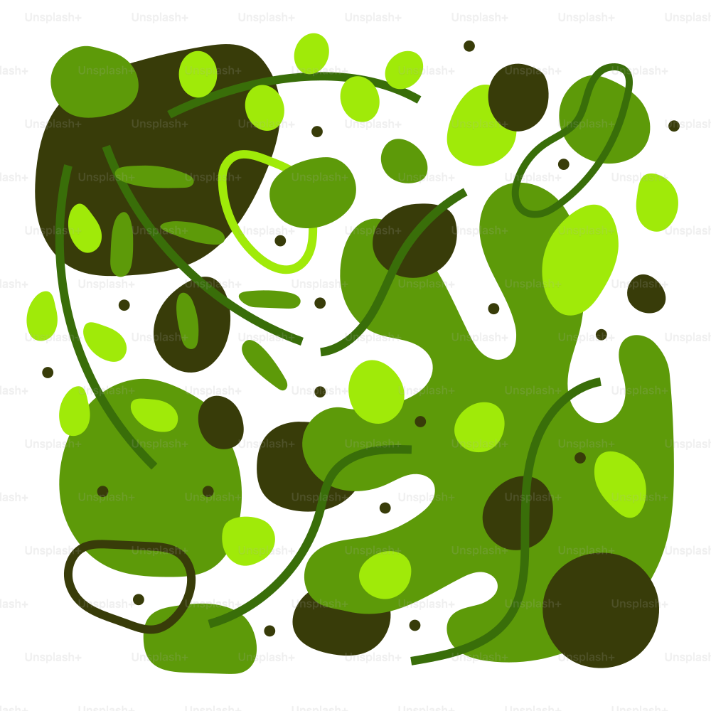 A picture of a green and black plant