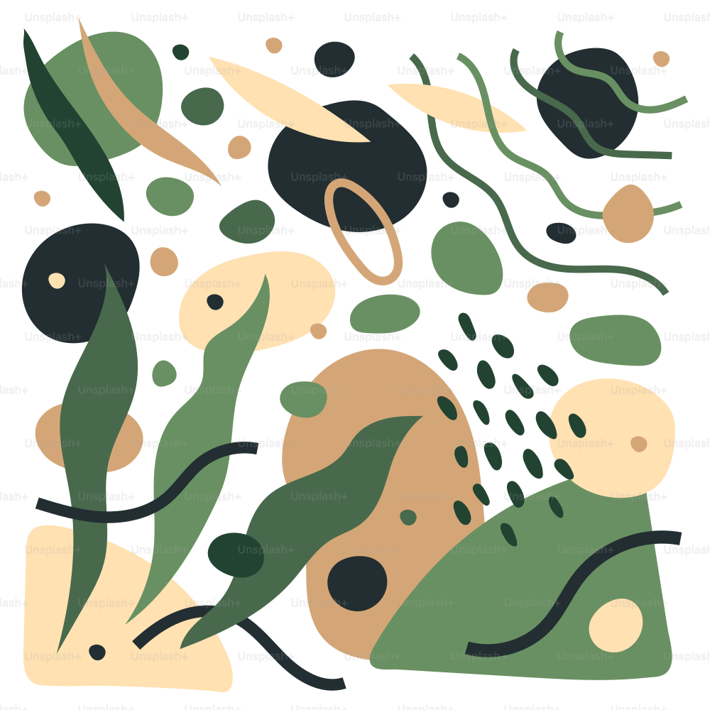 A picture of a plant with a white background