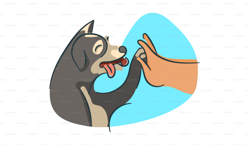 A dog is being petted by a person's hand