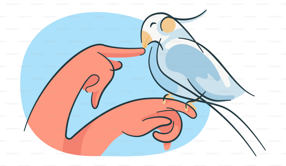 A blue bird sitting on top of a person's hand