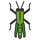 A close up of a green insect on a white background