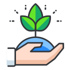 A hand holding a plant with a green leaf on top of it