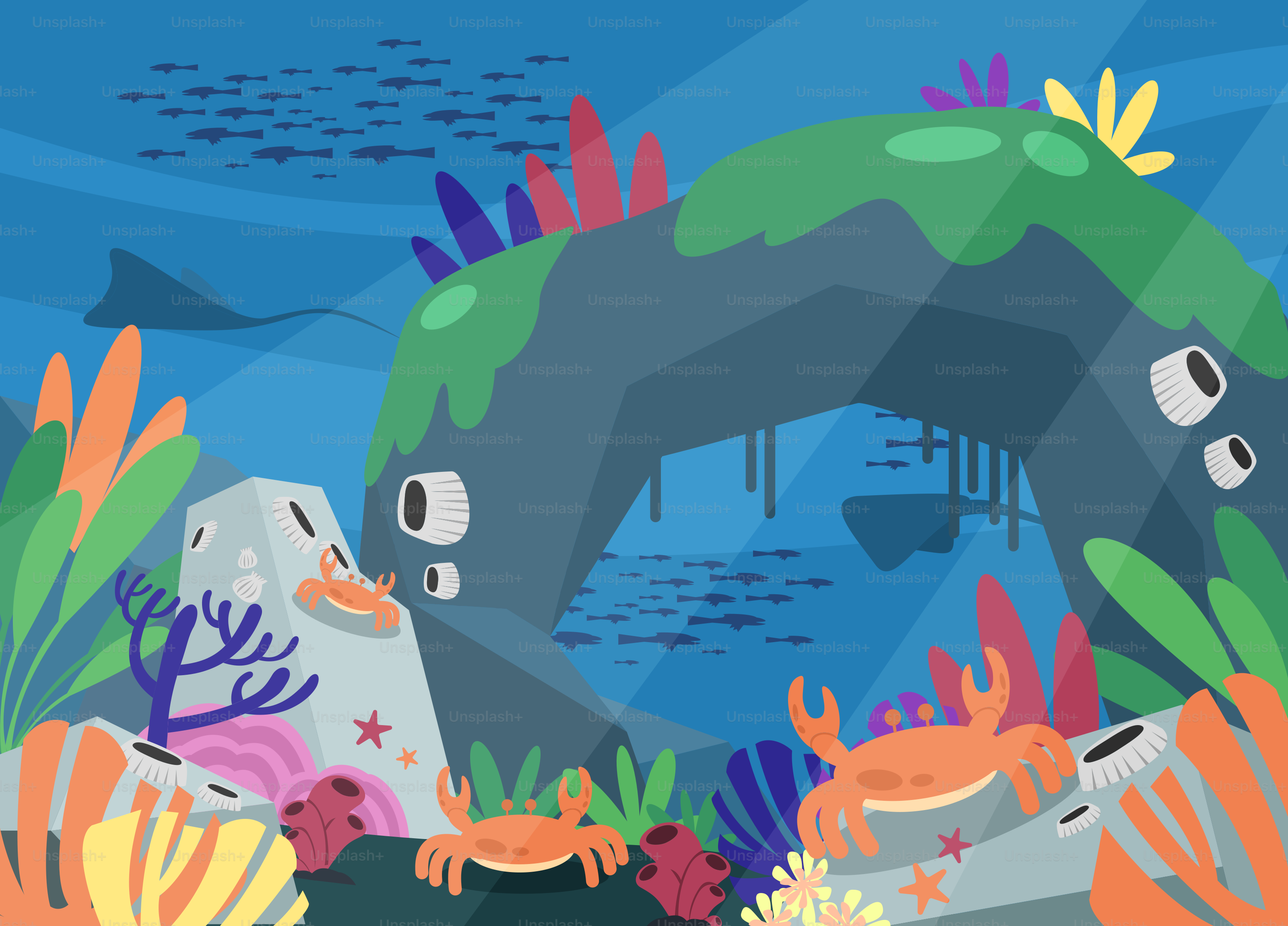 A group of sea animals swimming in the ocean