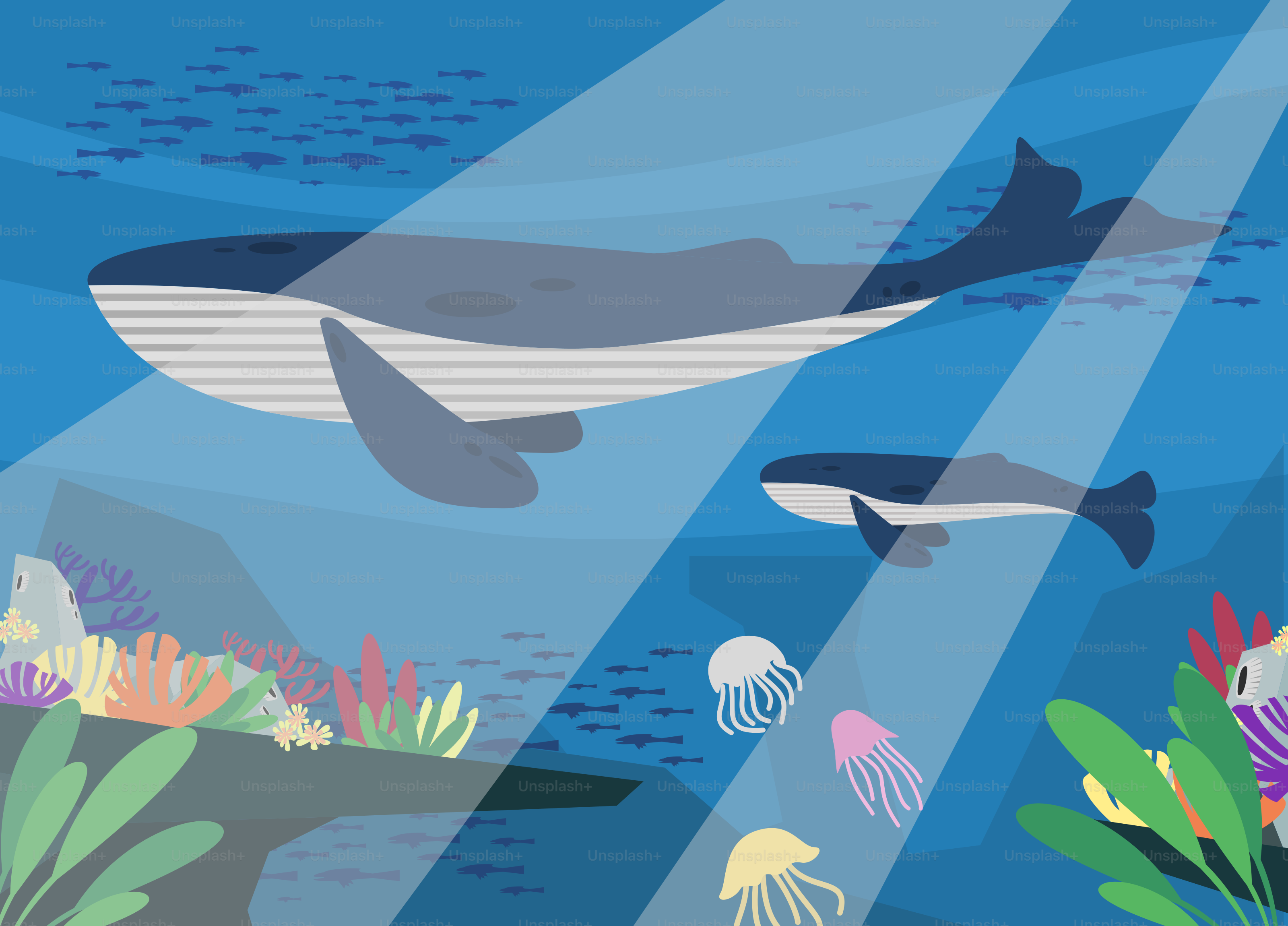 Une peinture d’une baleine et d’une méduse dans l’océan