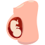 A graphic of a fetus showing the fetus of the stomach