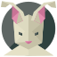 A white cat with pink ears and a black circle